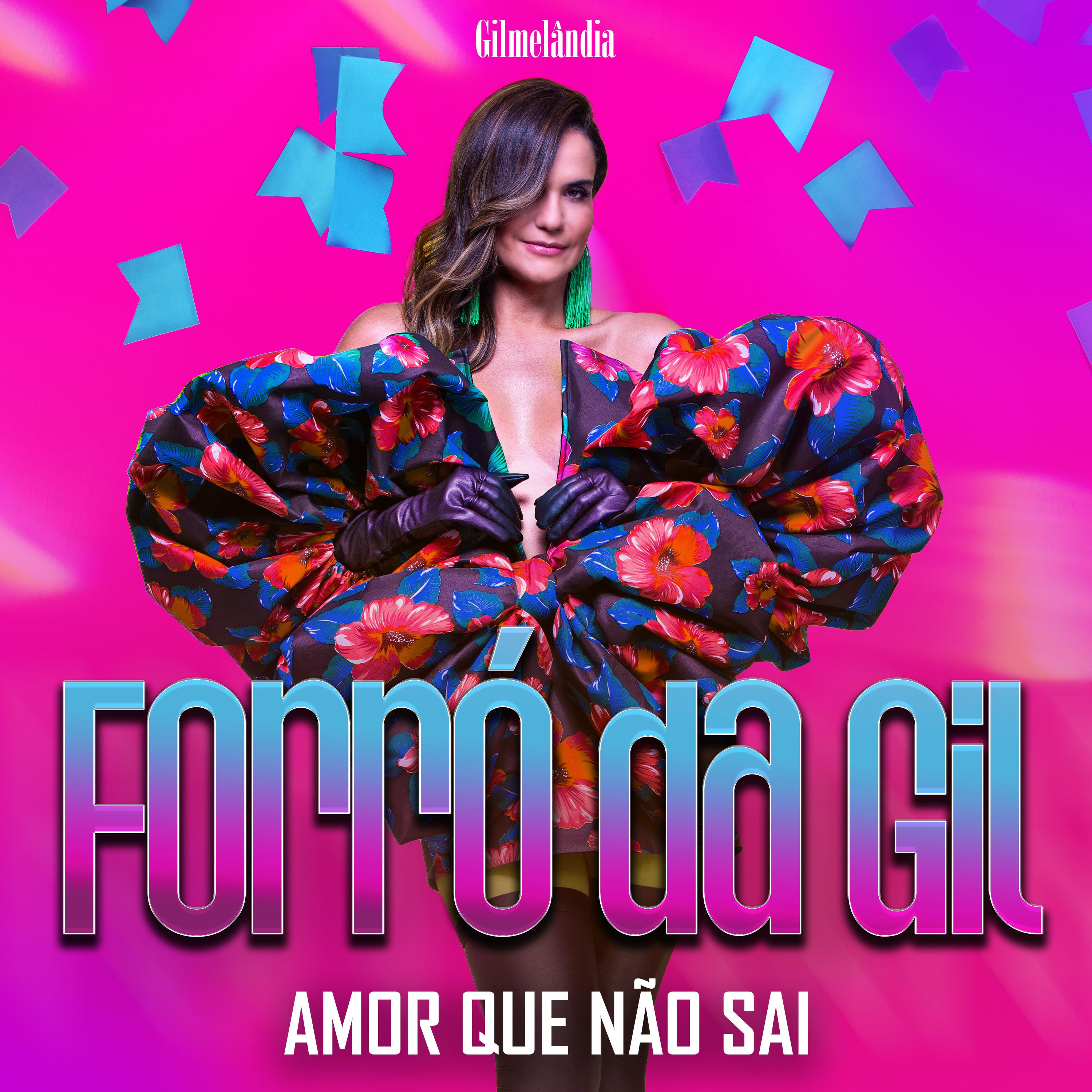 Постер альбома Forró da Gil - Amor Que Não Sai