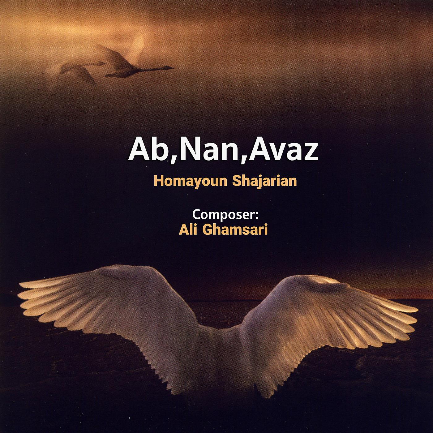 Постер альбома Ab,Nan,Avaz