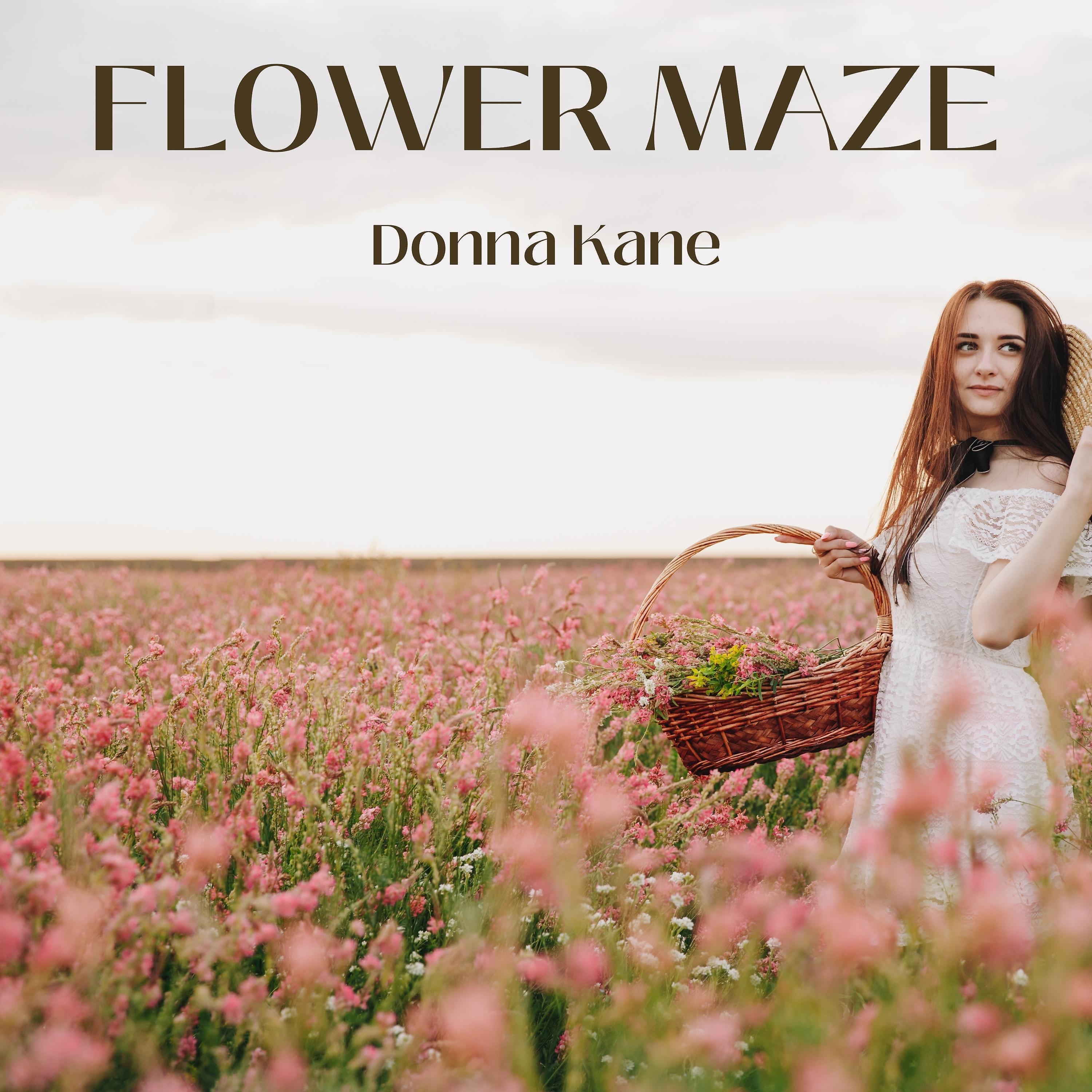Постер альбома Flower Maze