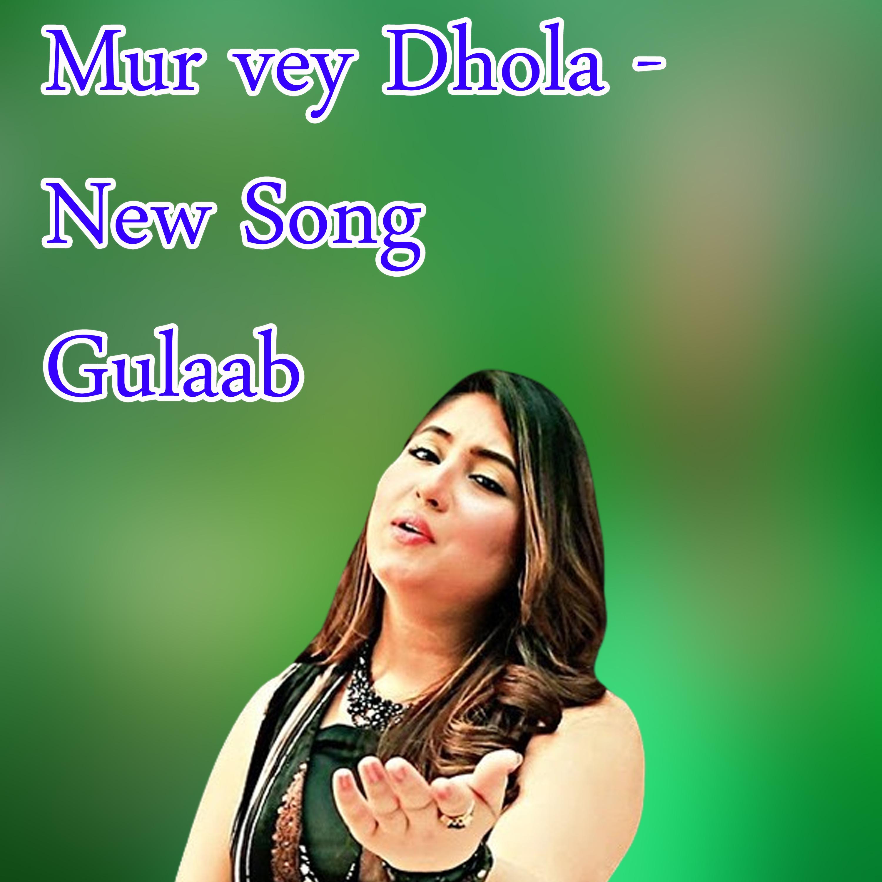 Постер альбома Mur vey Dhola New Gulaab