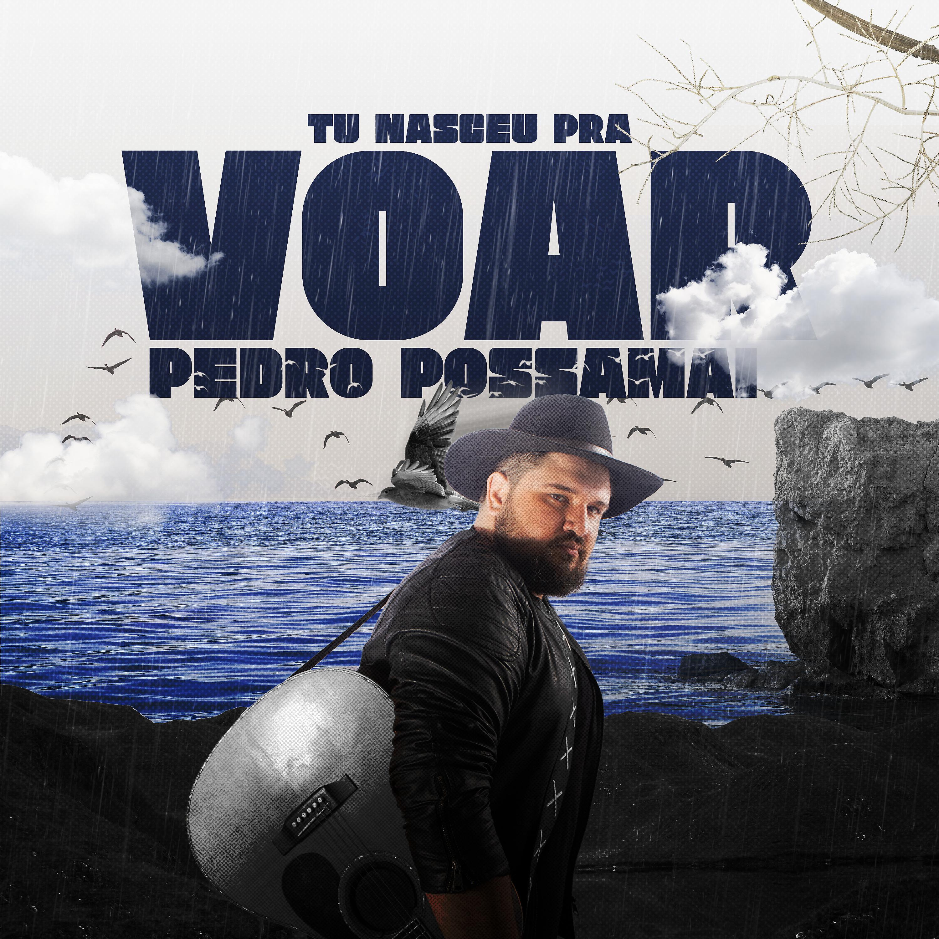 Постер альбома Tu Nasceu pra Voar