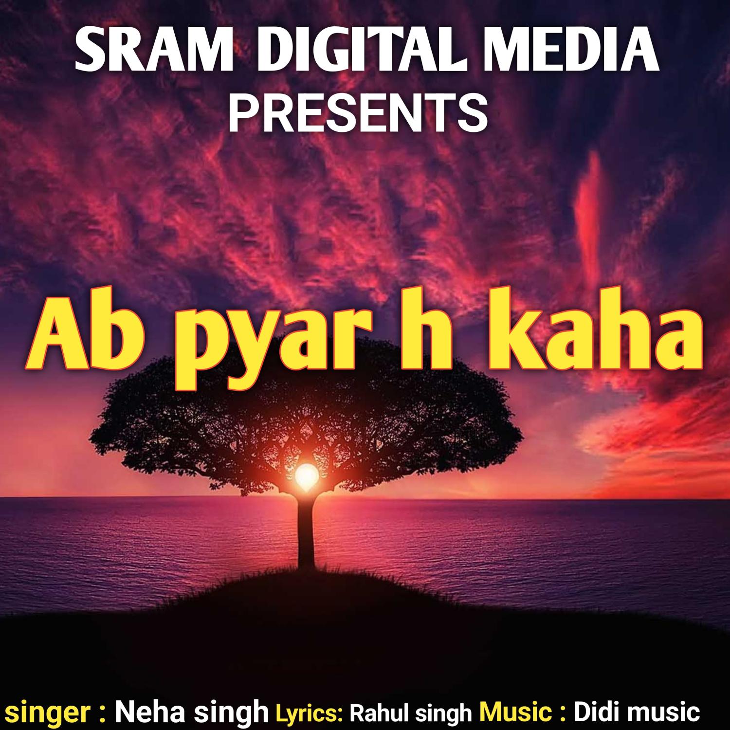 Постер альбома Ab Pyar H Kaha