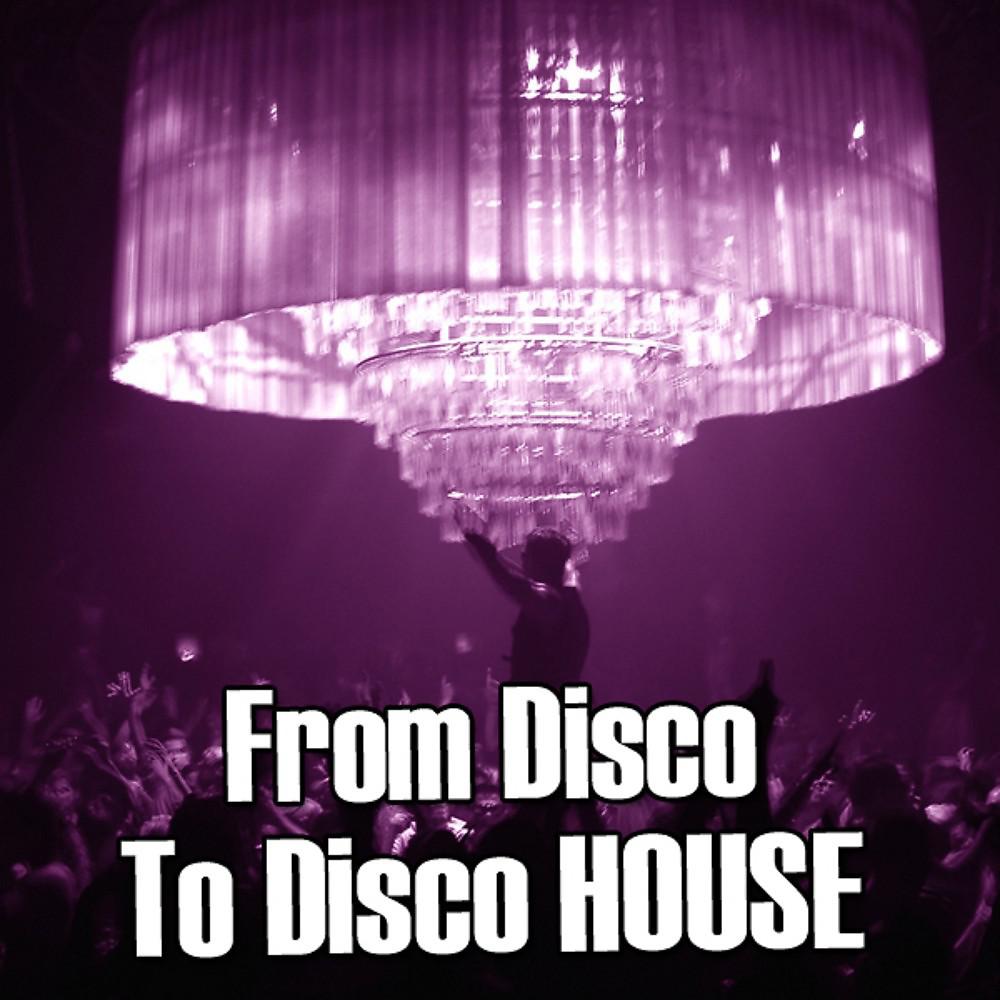 Постер альбома From Disco to Disco House