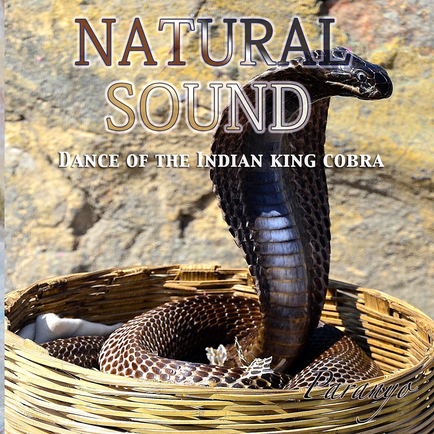 Постер альбома Natural Sound