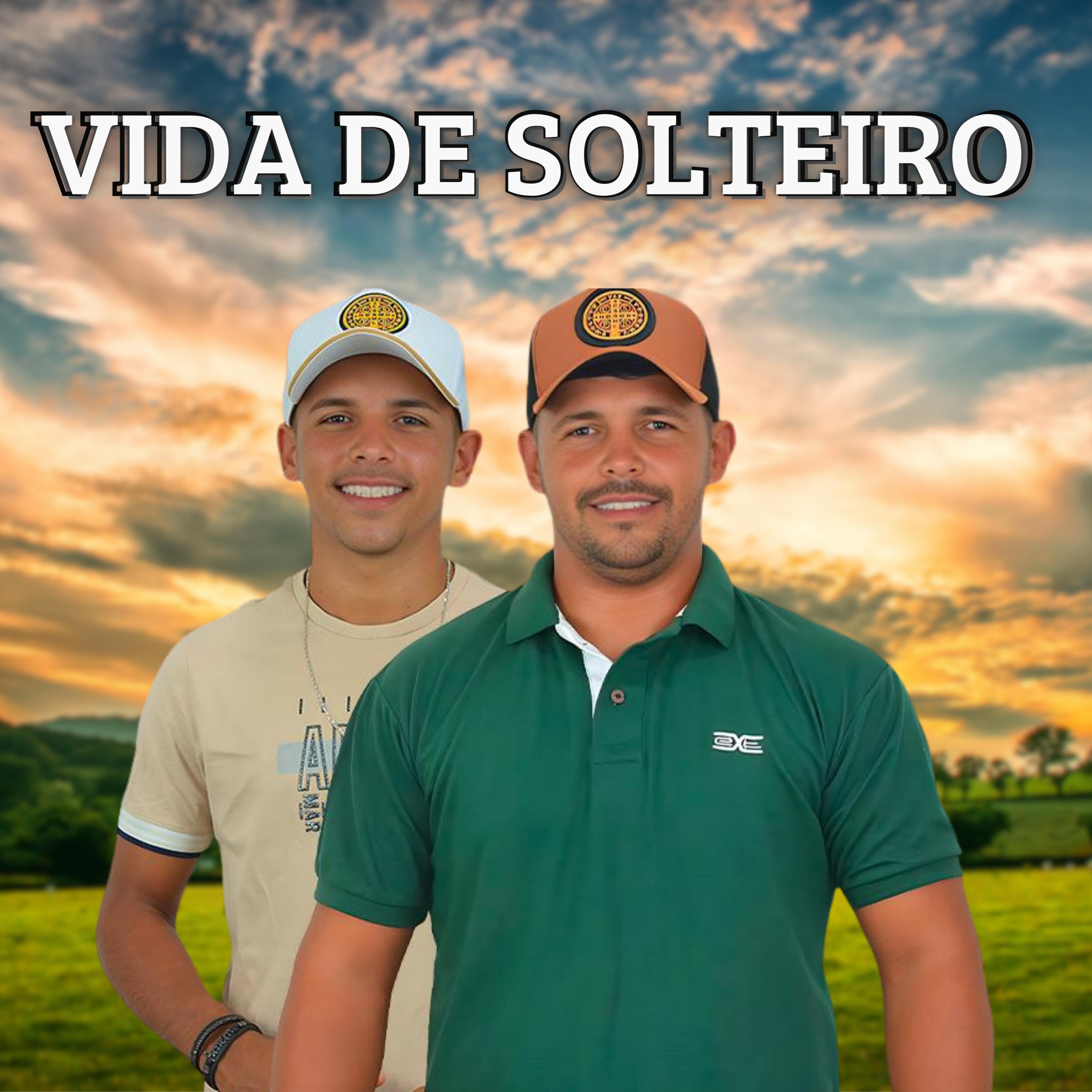 Постер альбома Vida de Solteiro