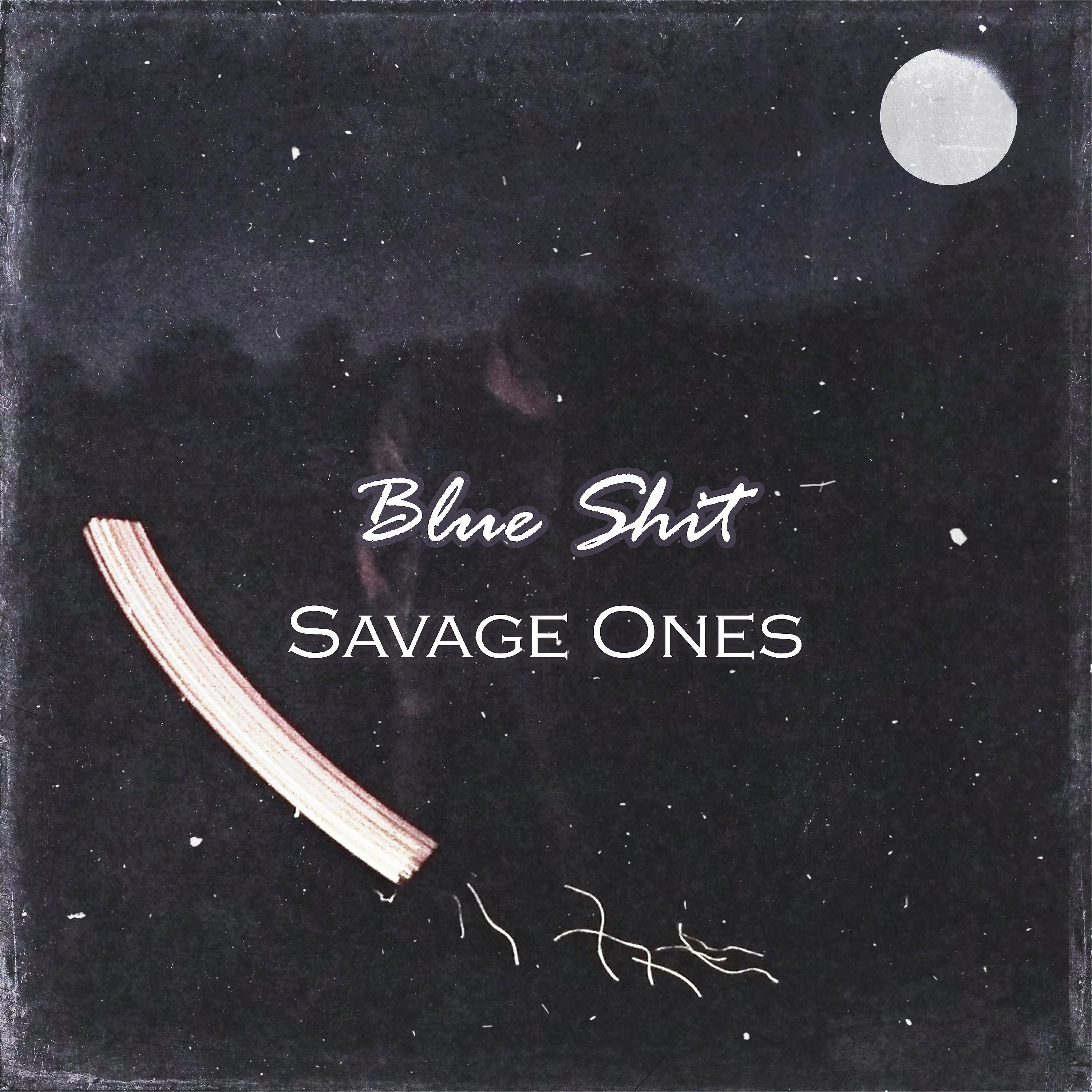 Постер альбома Blue Shit