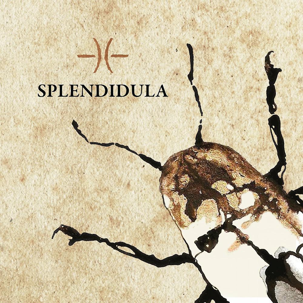 Постер альбома Splendidula
