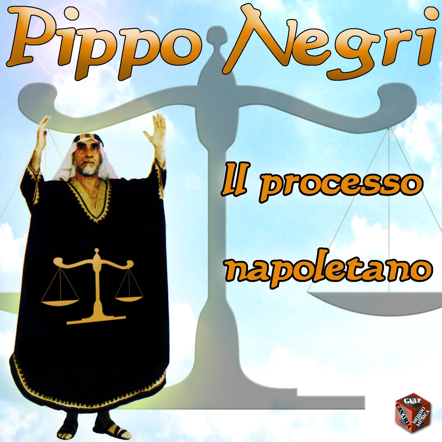Постер альбома Il processo napoletano