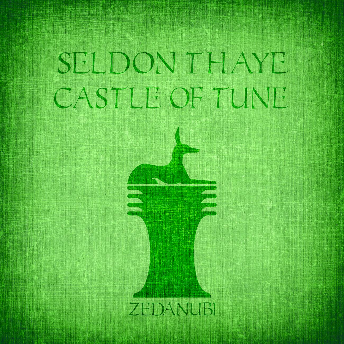 Постер альбома Castle Of Tune