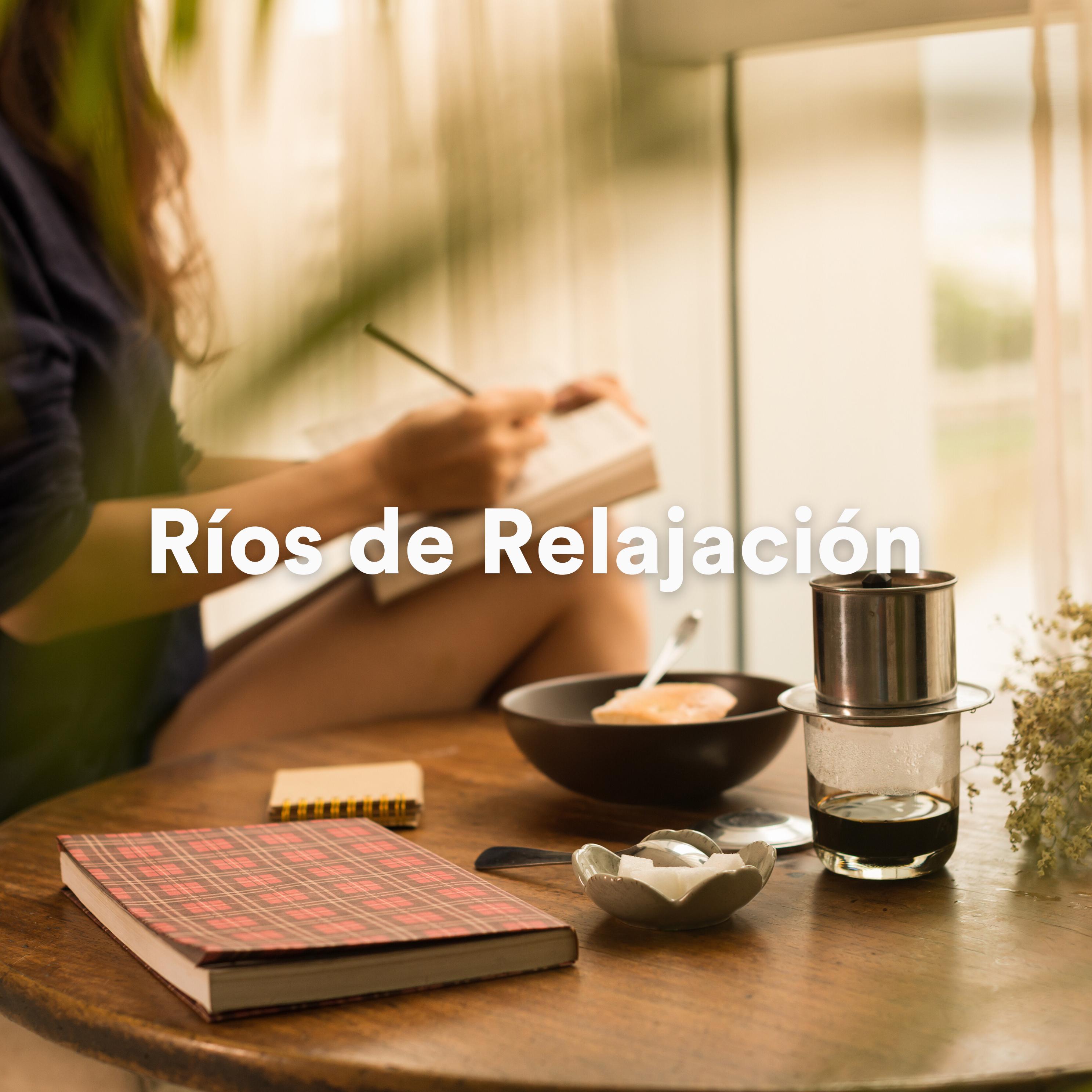 Постер альбома Ríos de Relajación