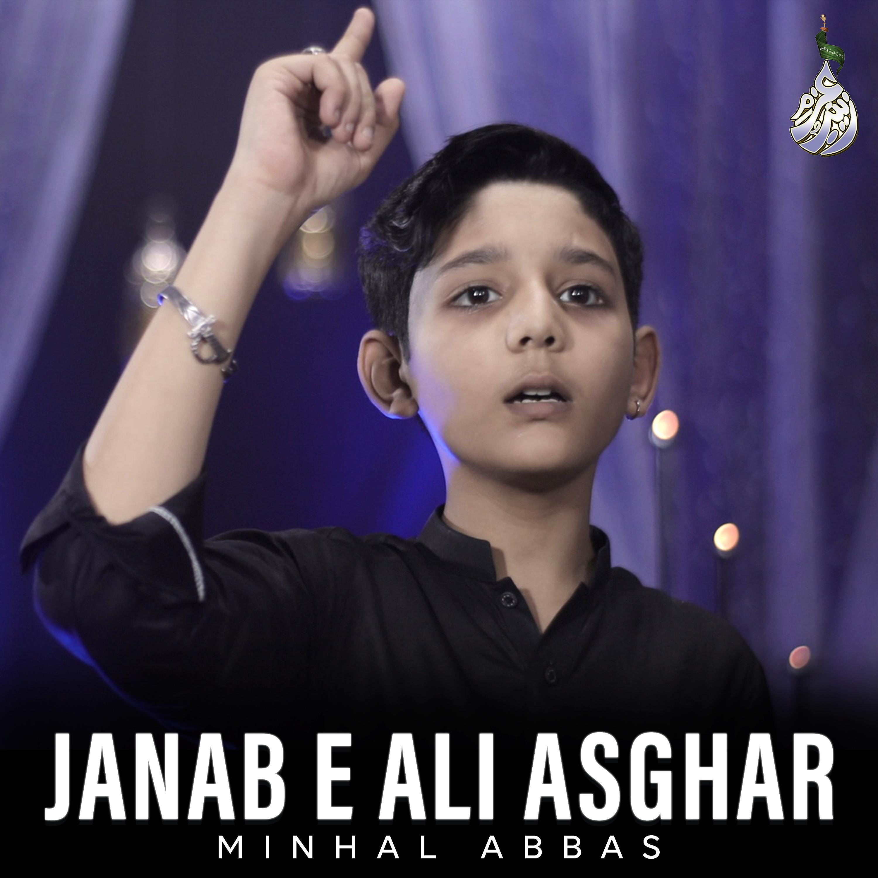 Постер альбома Janab E Ali Asghar