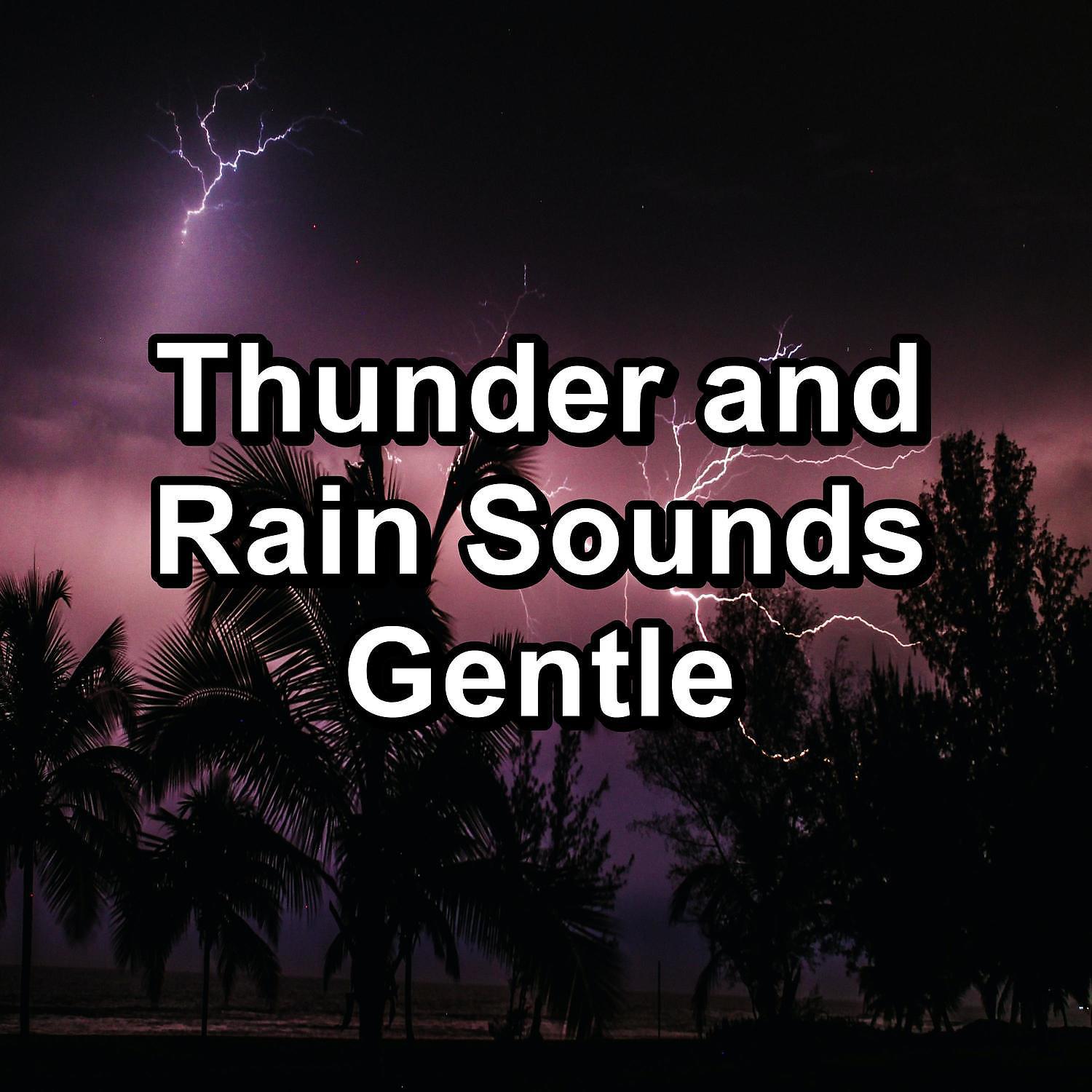 Постер альбома Thunder and Rain Sounds Gentle