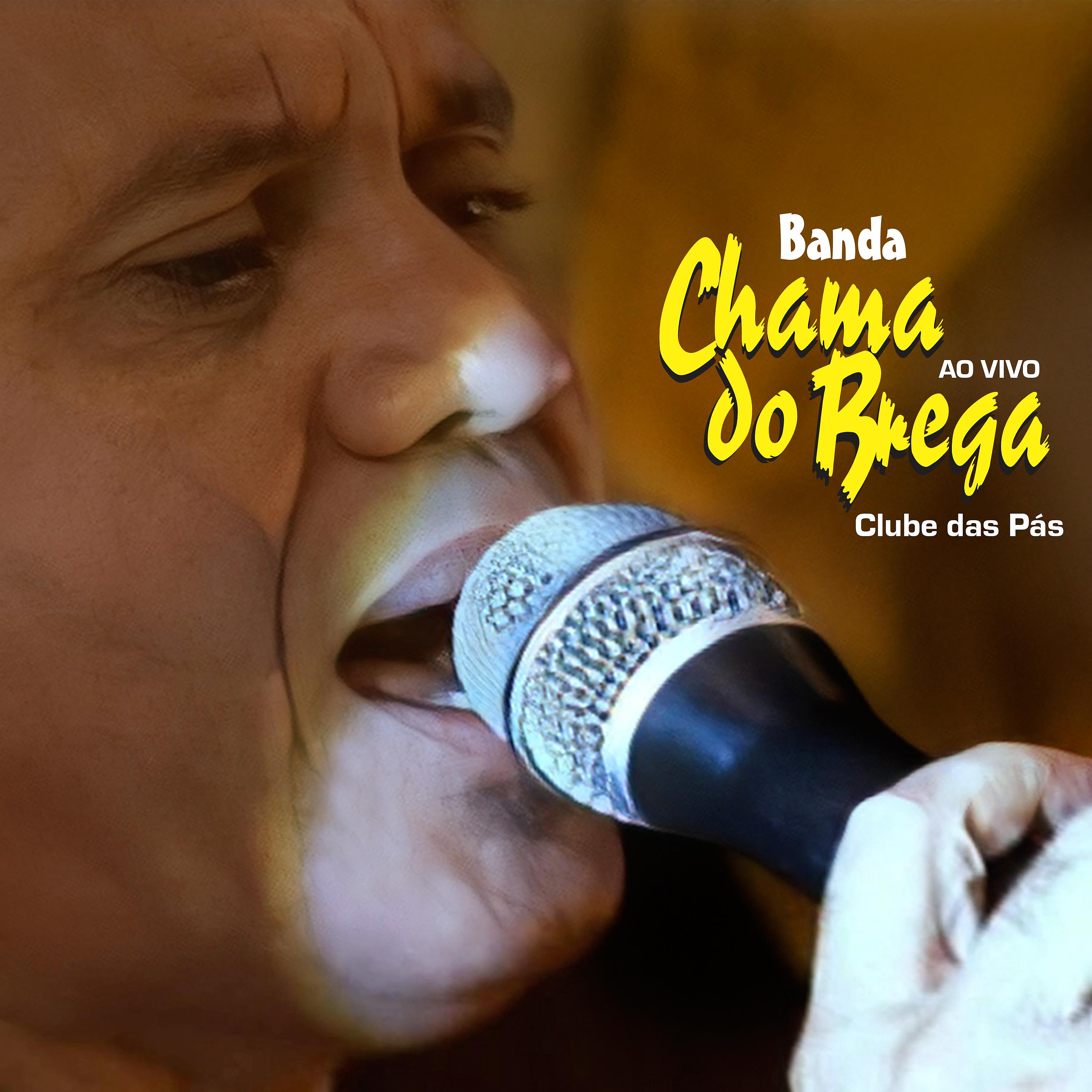 Постер альбома Ao Vivo No Clube das Pás