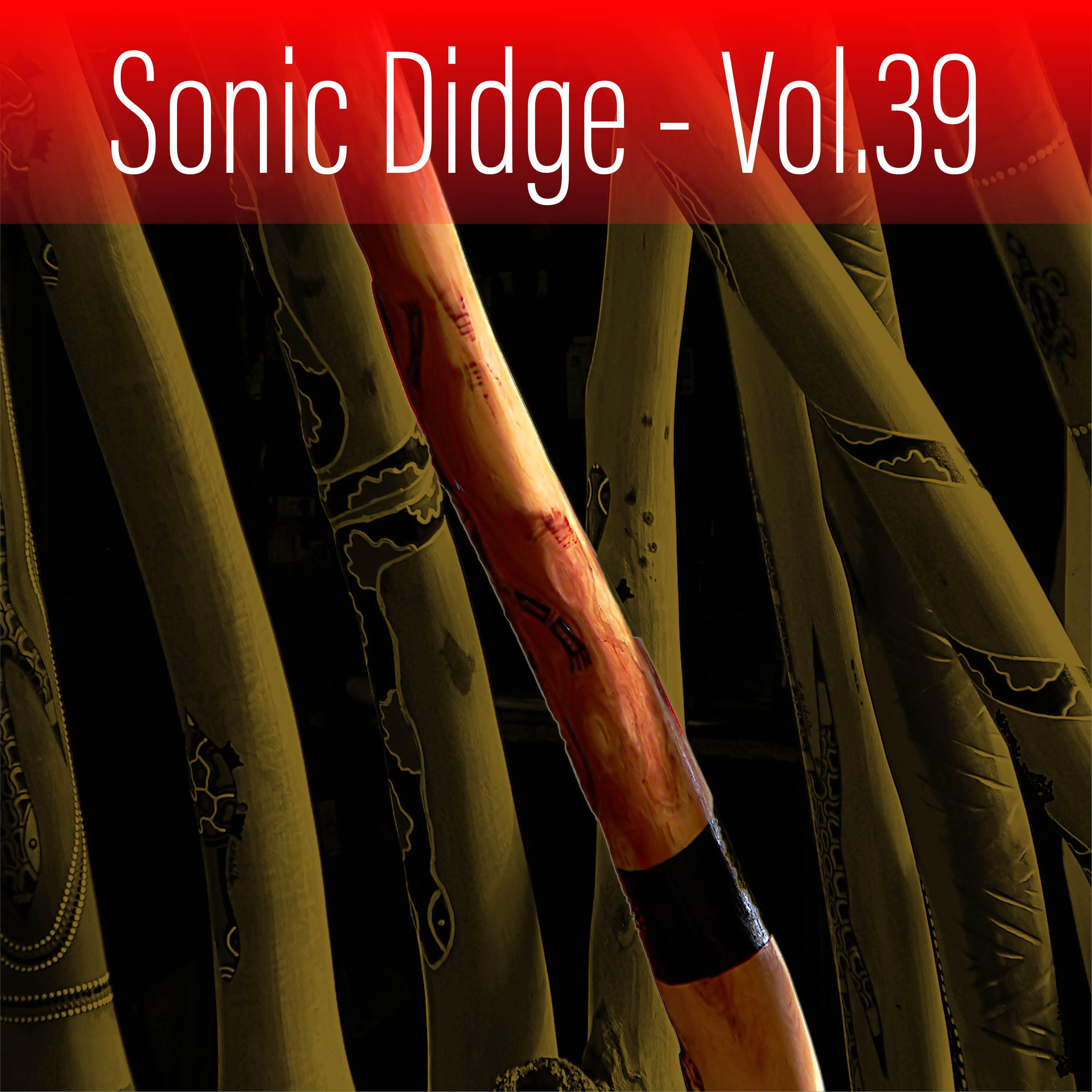 Постер альбома Sonic Didge, Vol. 39