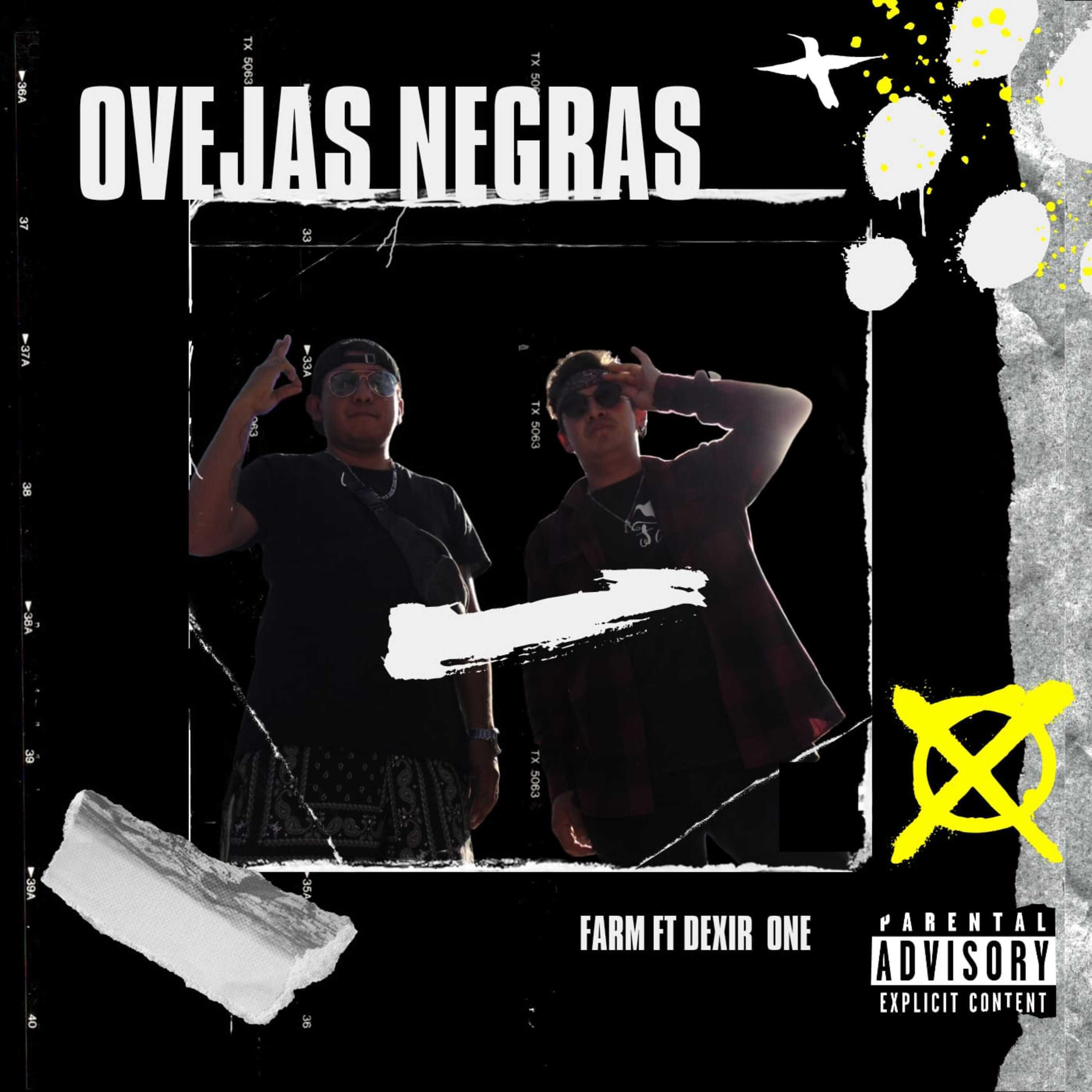 Постер альбома Ovejas Negras