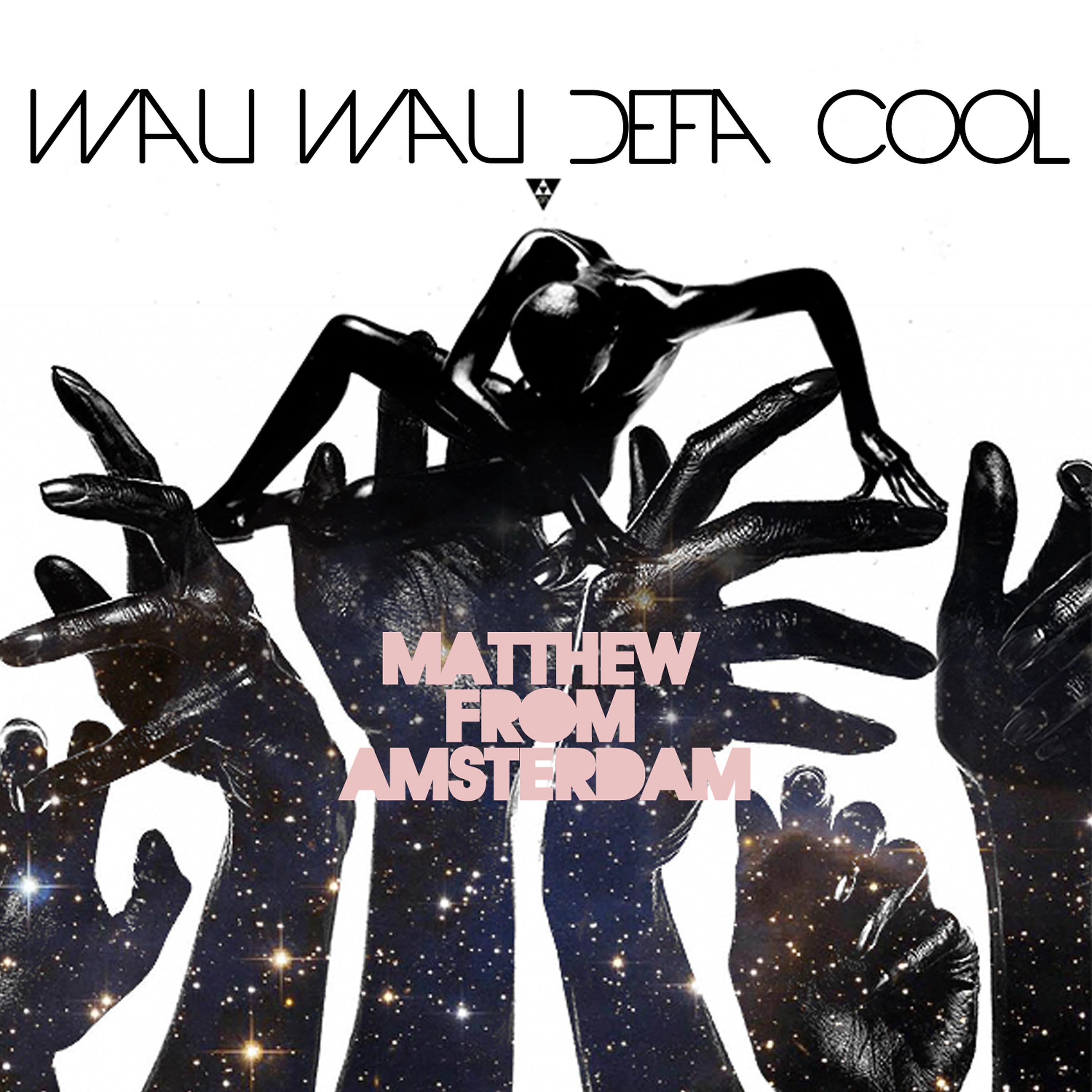 Постер альбома Wau Wau Defa Cool