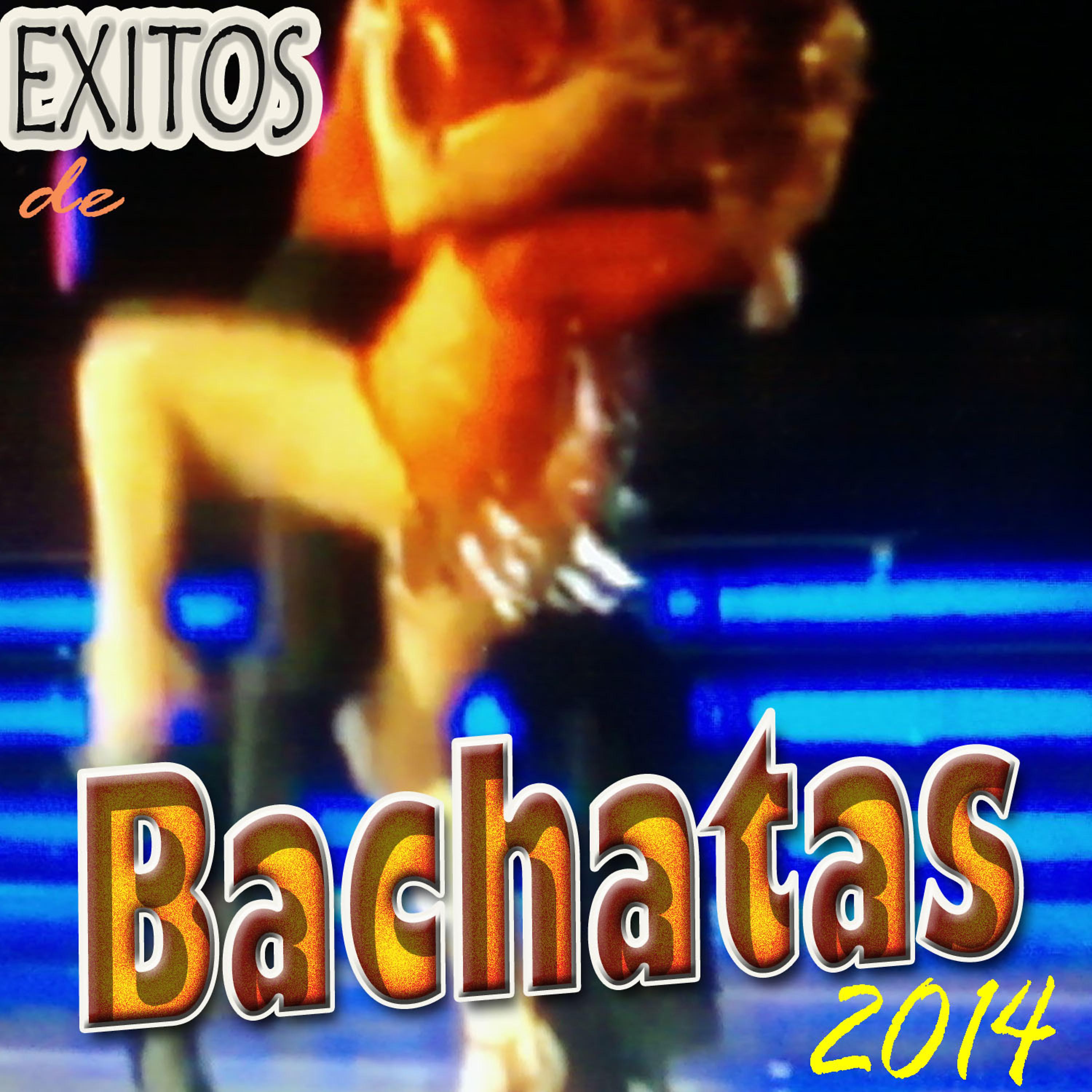 Постер альбома Exitos de Bachatas (2014)