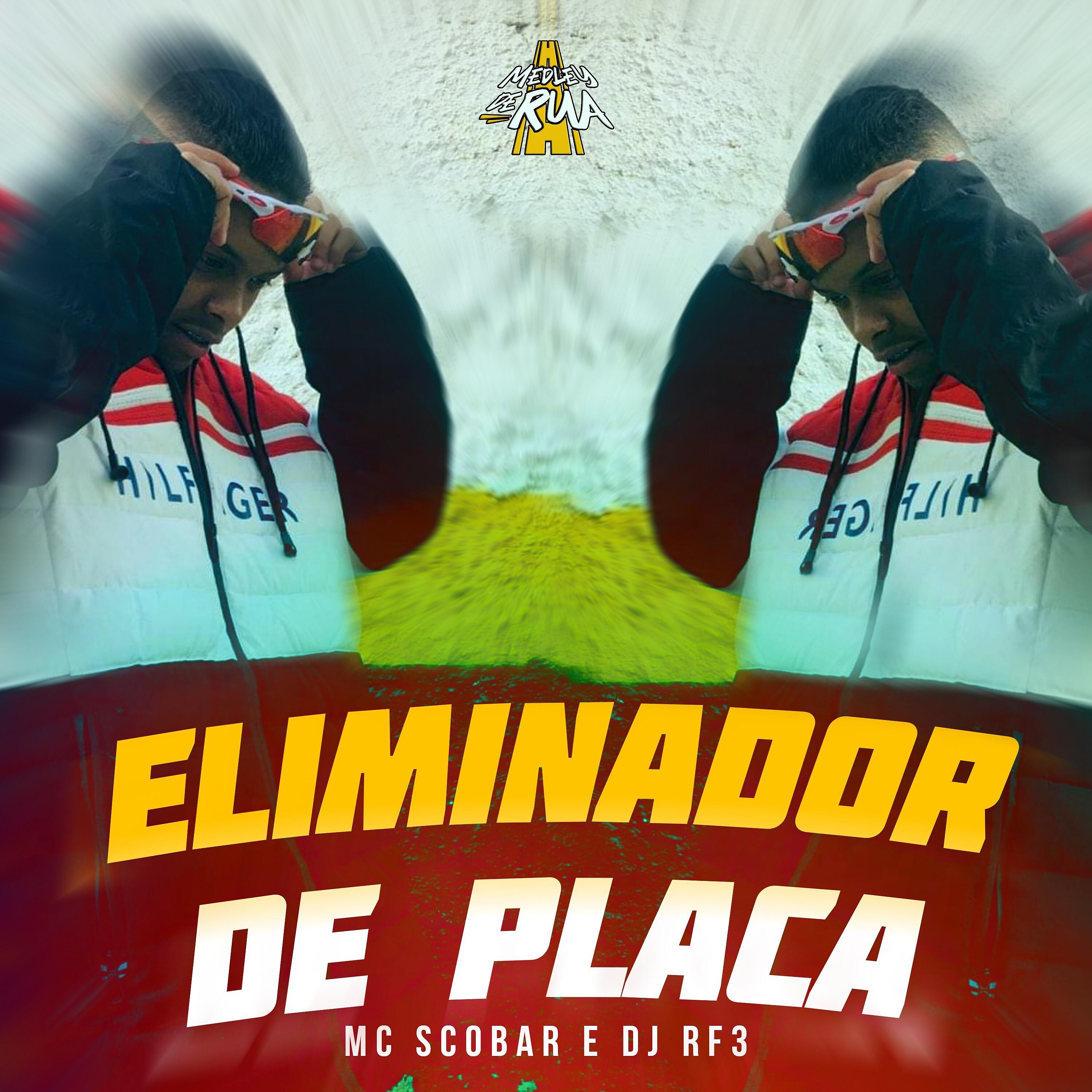 Постер альбома Eliminador de Placa