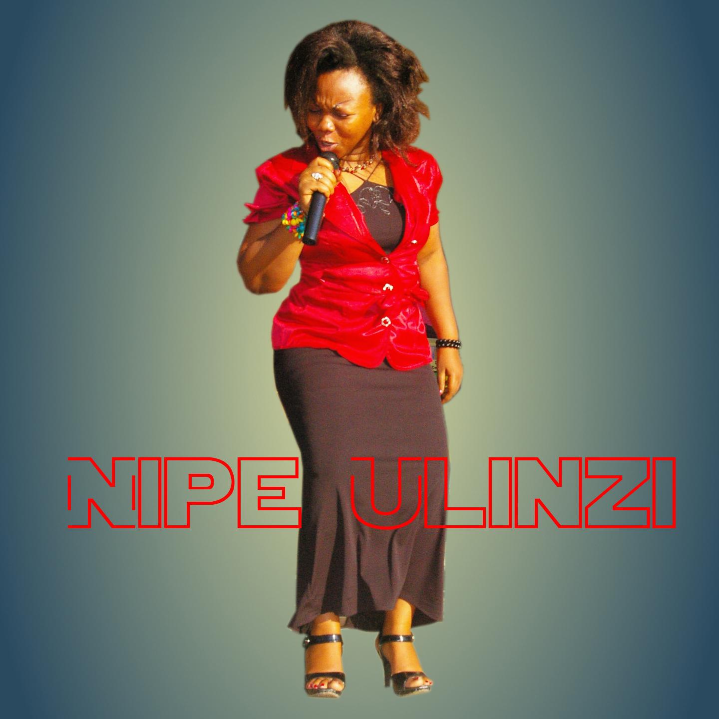 Постер альбома Nipe Ulinzi