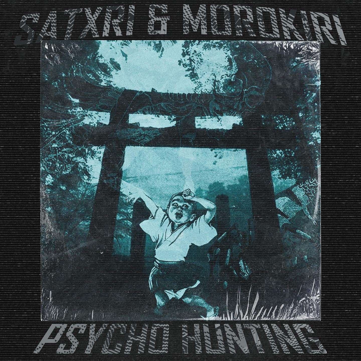 Постер альбома Psycho Hunting