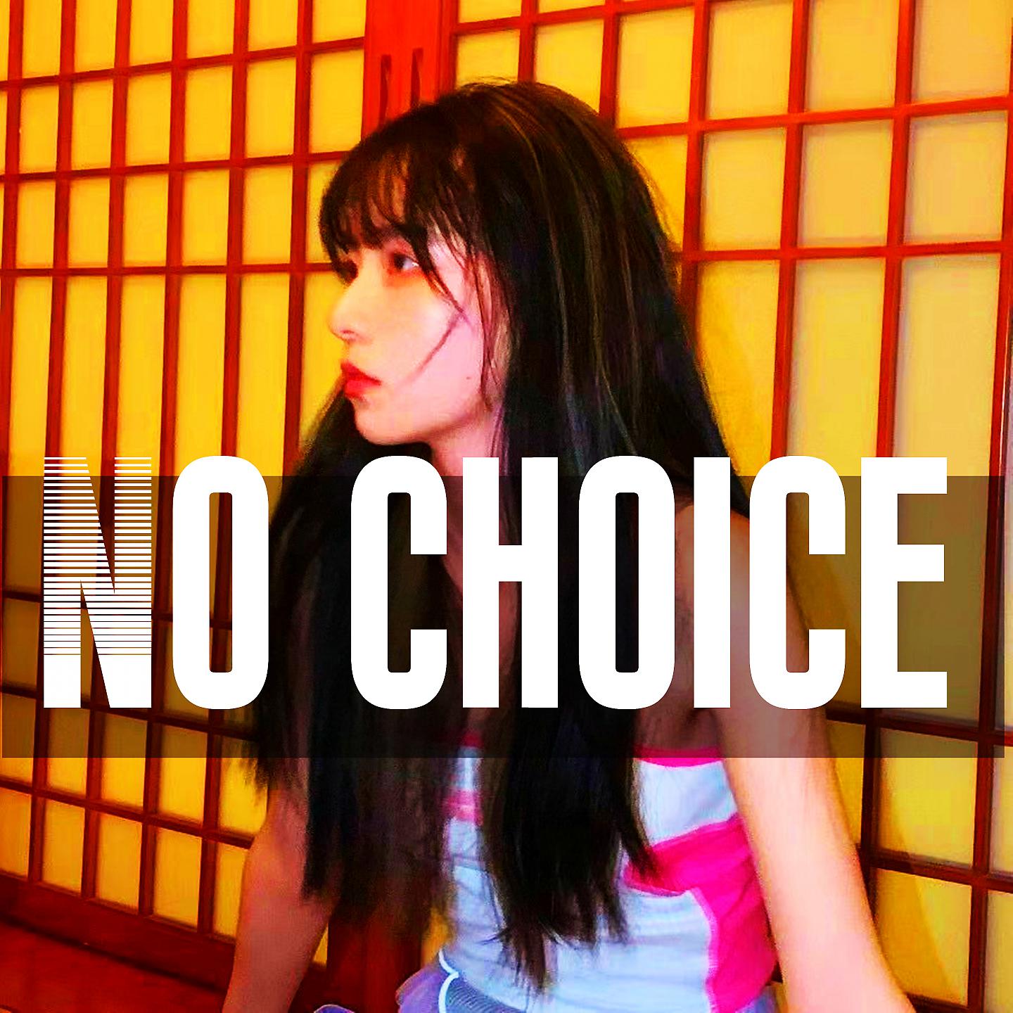 Постер альбома No choice