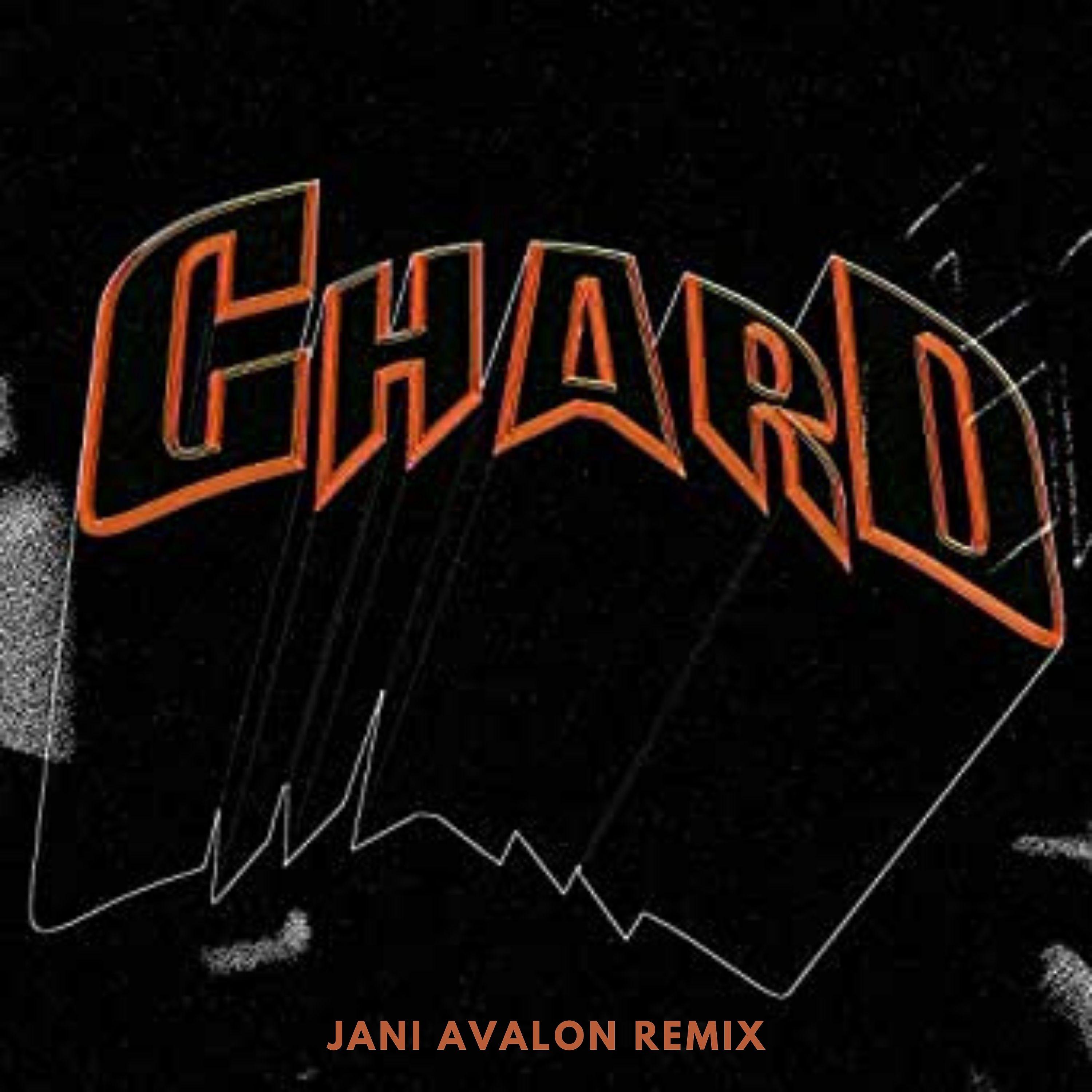 Постер альбома Do My Ting (Jani Avalon Remix)