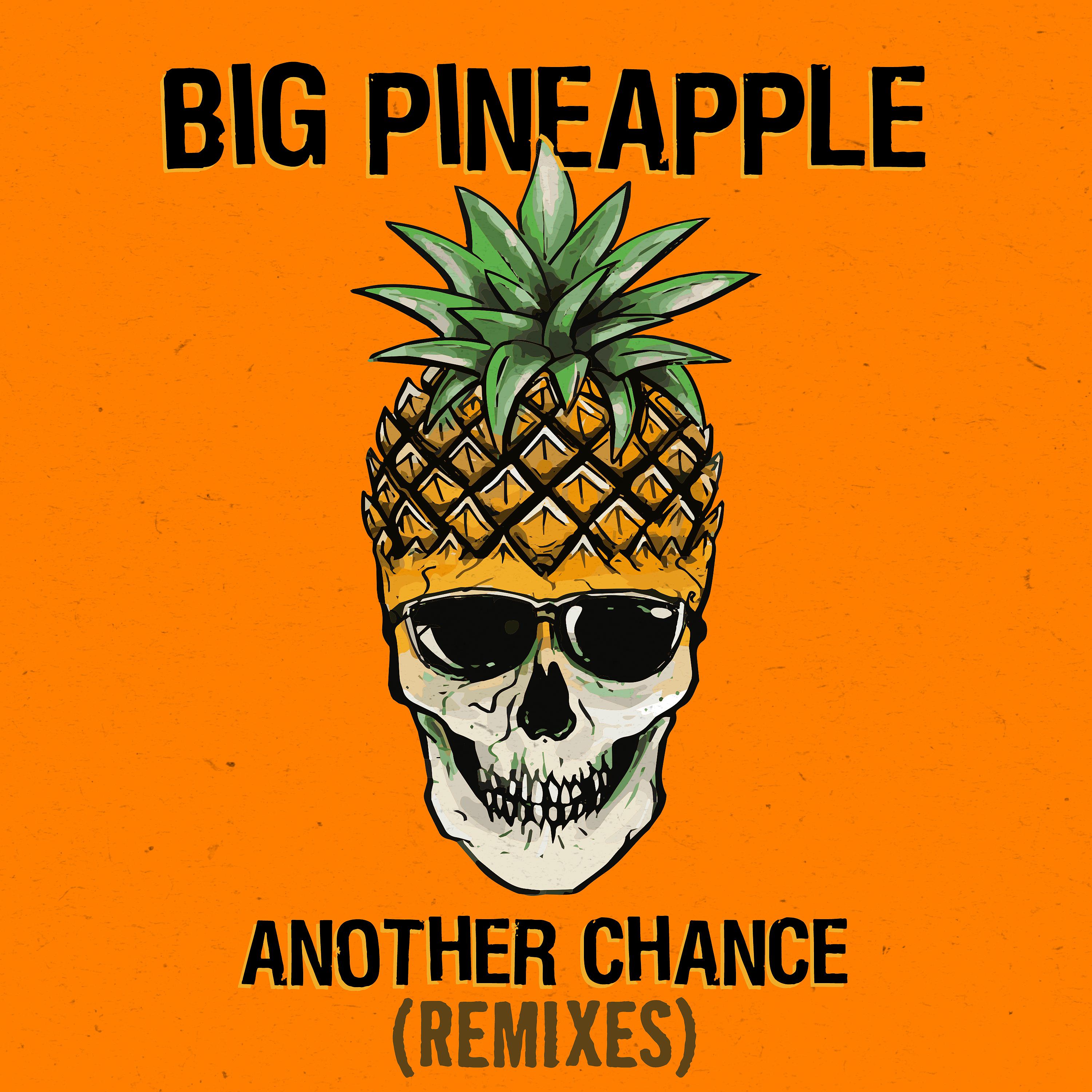 Постер альбома Another Chance (Remixes)