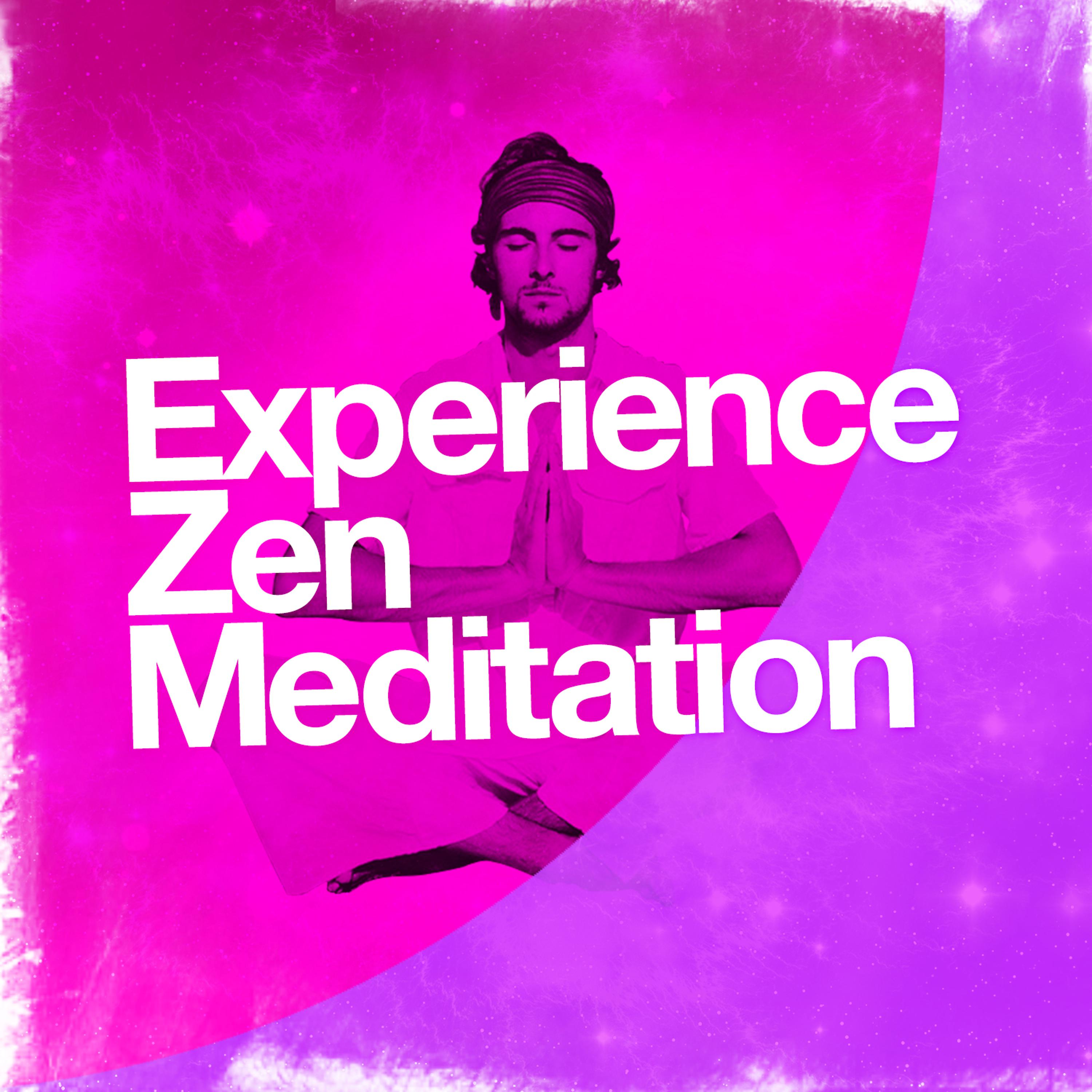 Постер альбома Experience Zen Meditation