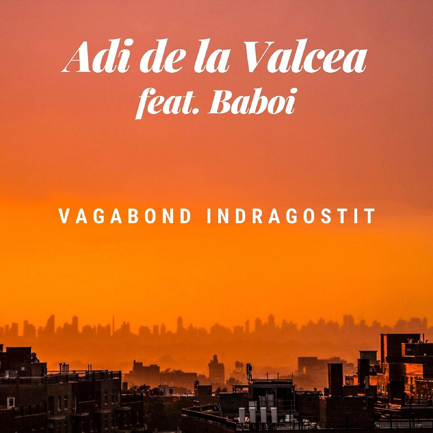 Постер альбома Vagabond Indragostit