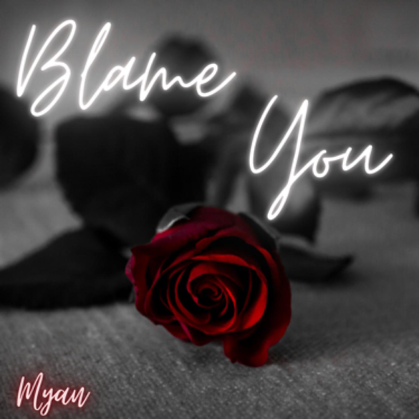 Постер альбома Blame You