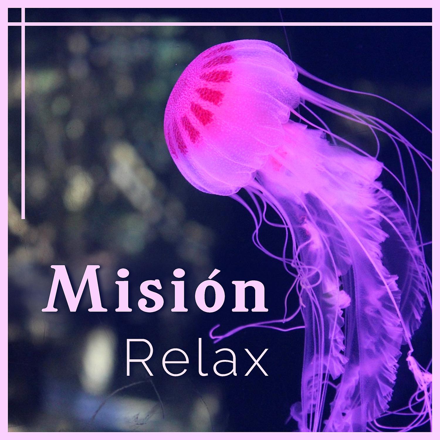 Постер альбома Mision: Relax - Música Anti Stress, Sonidos de Paz, Dosis Diaria de Felicidad, Tranquila Armonía