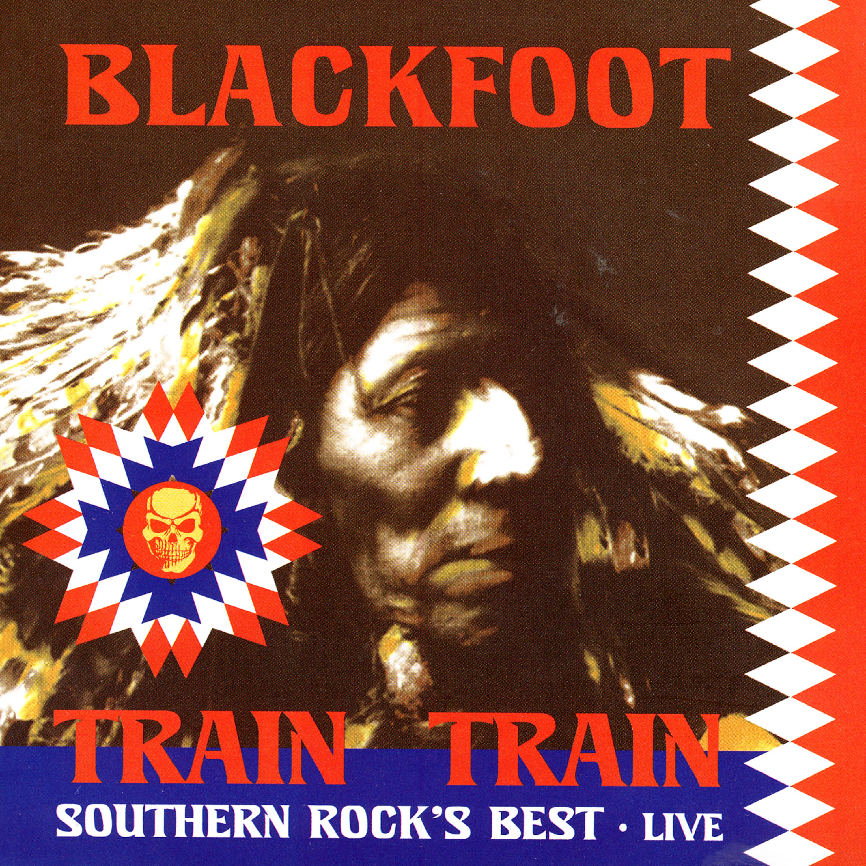 Постер альбома Train Train: Southern Rock's Best - Live