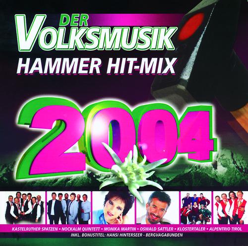 Постер альбома Der Volksmusik Hammer Hit-Mix 2004