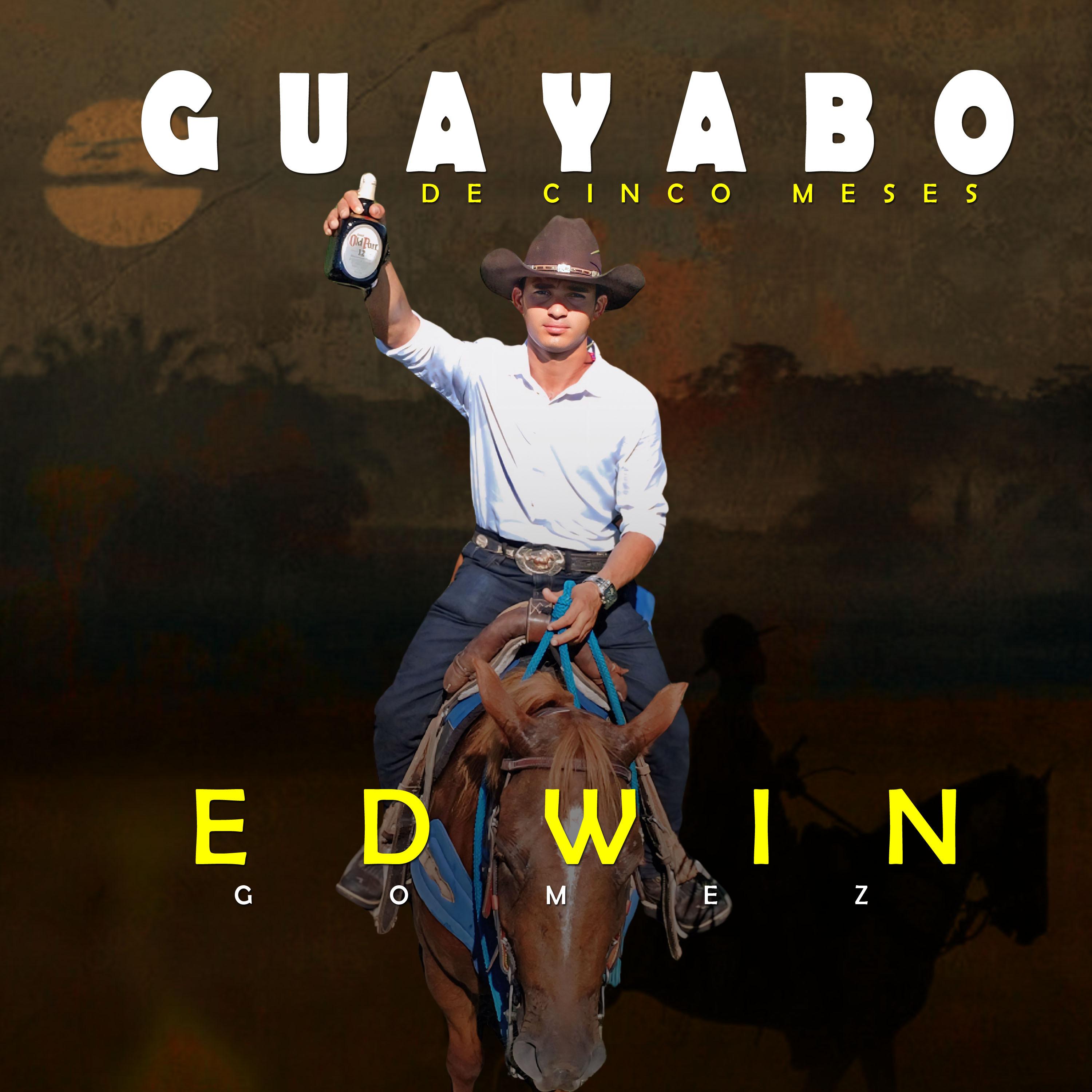 Постер альбома Guayabo de Cinco Meses