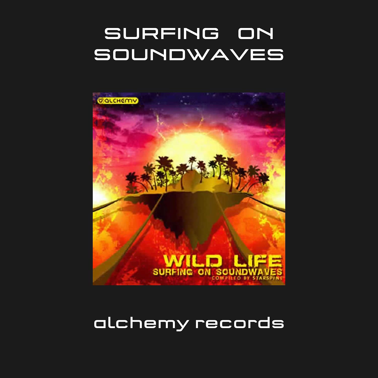 Постер альбома Wild Life 3: Surfing on Soundwaves