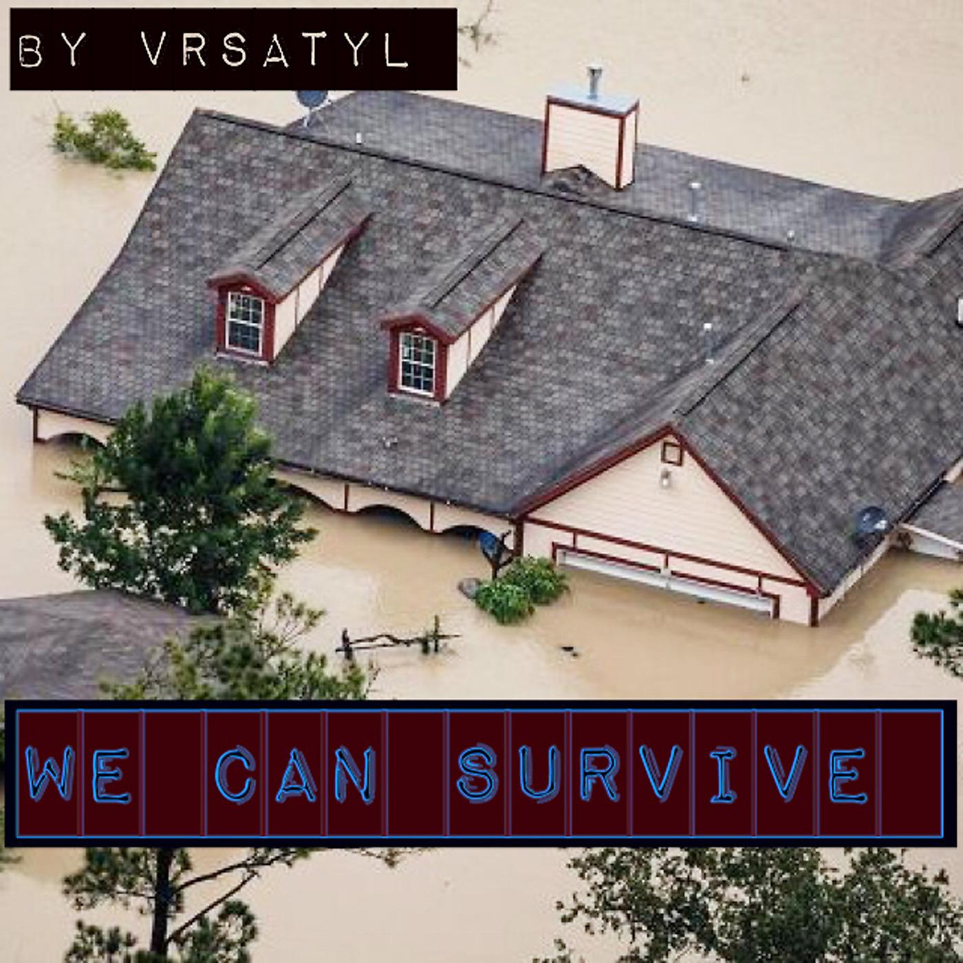 Постер альбома We Can Survive