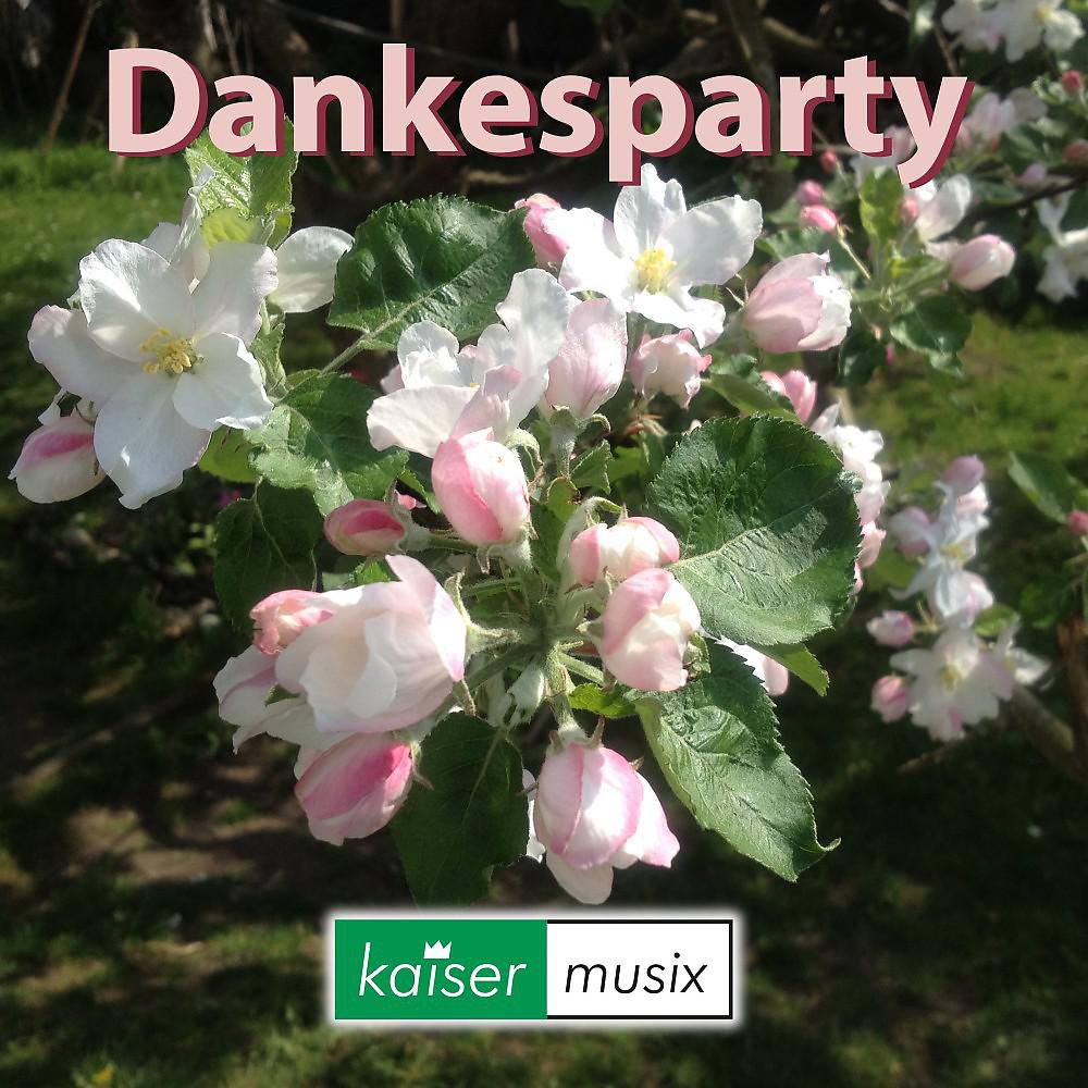 Постер альбома Dankesparty (Remastered)