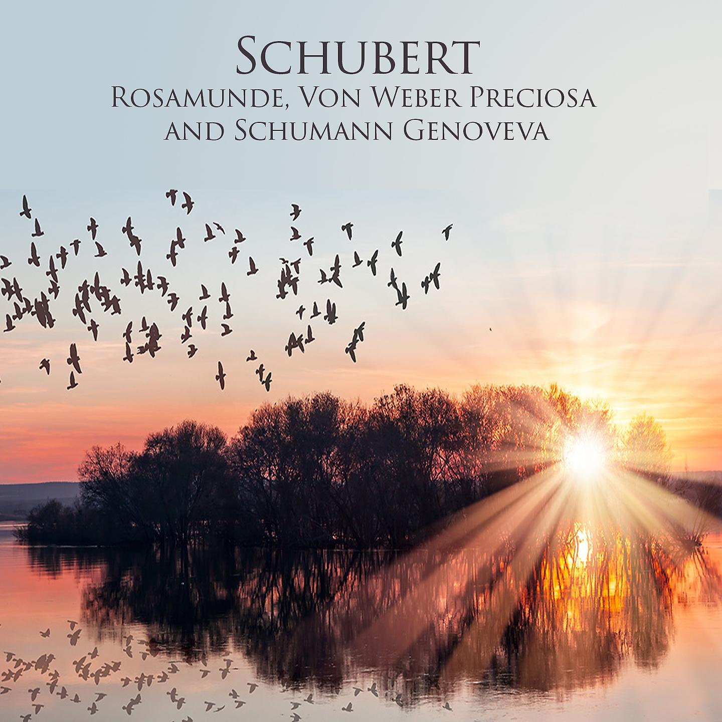 Постер альбома Schubert Rosamunde, Von Weber Preciosa and Schumann Genoveva