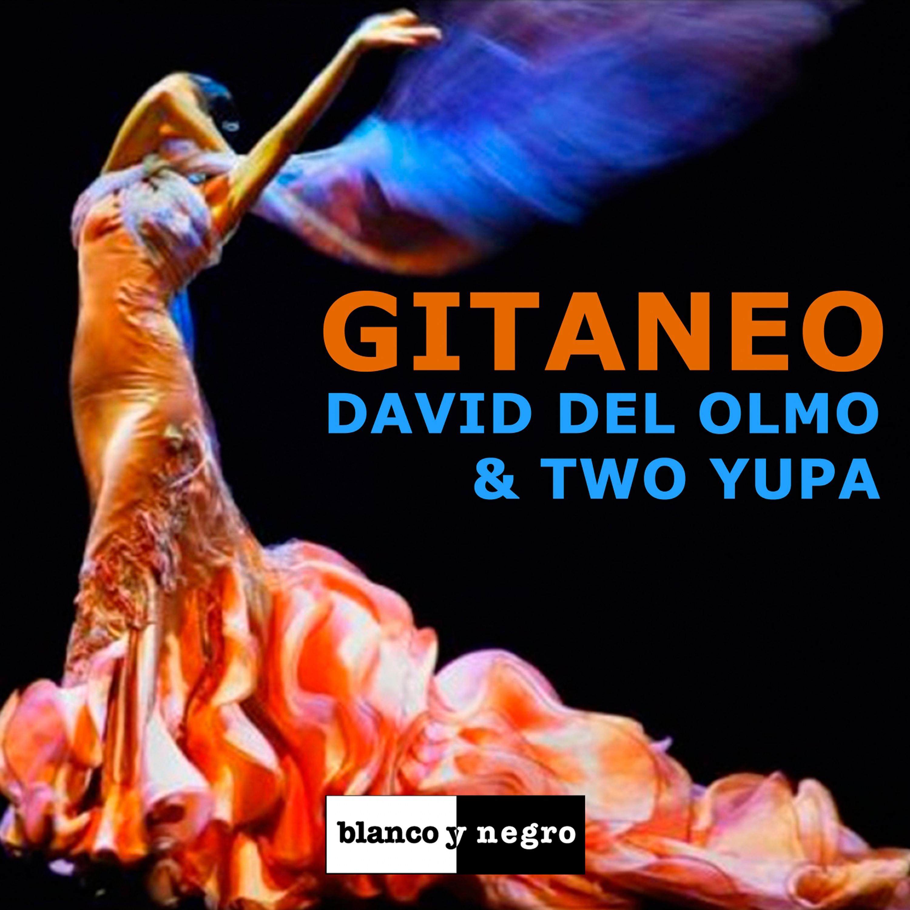 Постер альбома Gitaneo