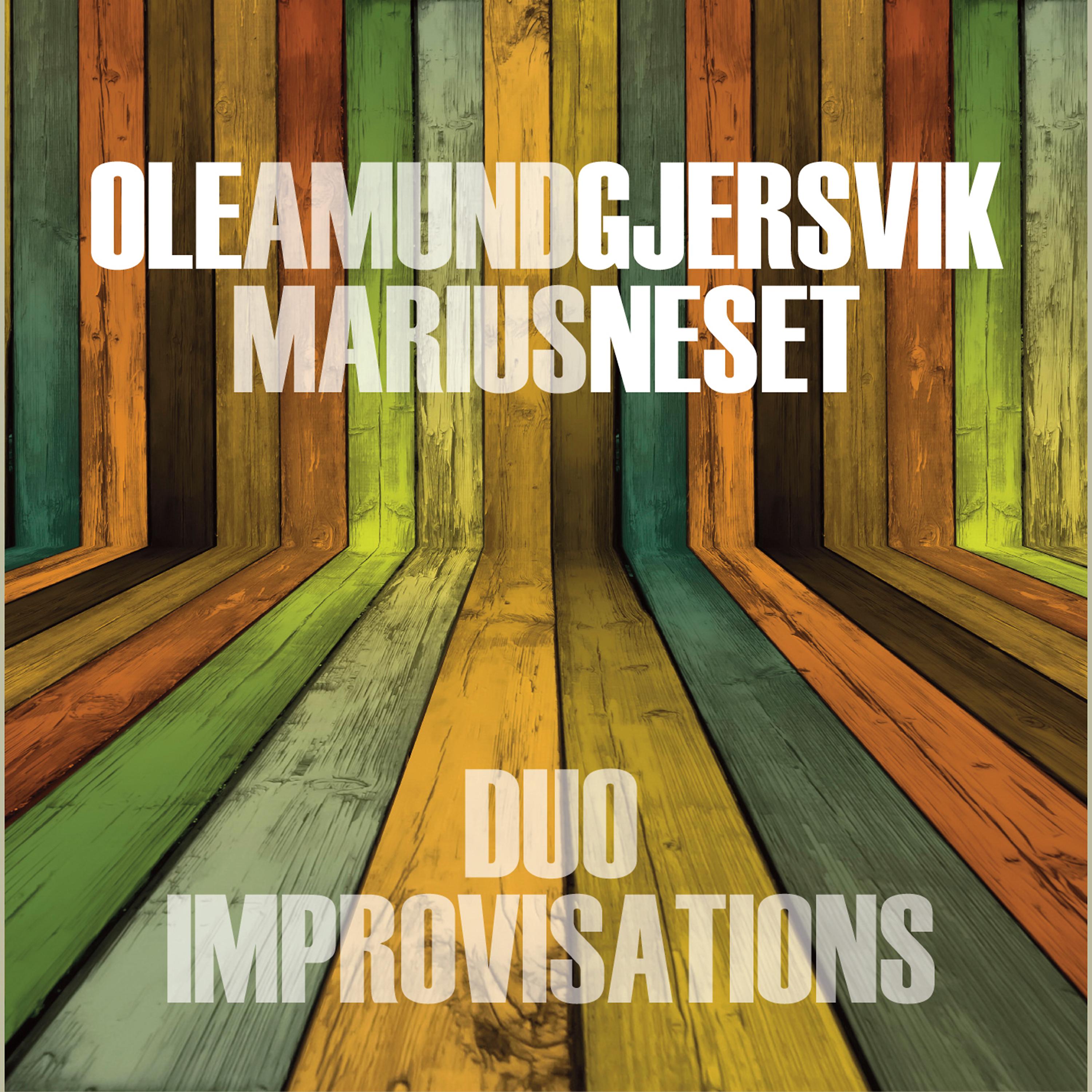 Постер альбома Duo Improvisations