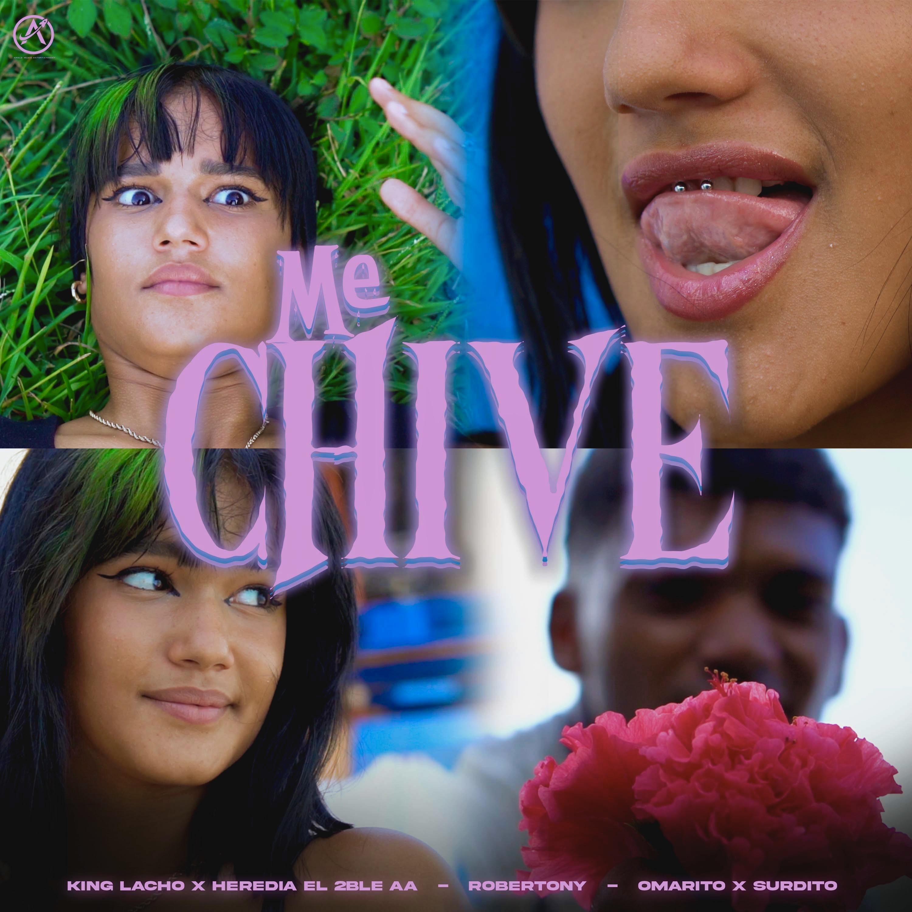 Постер альбома Me Chive
