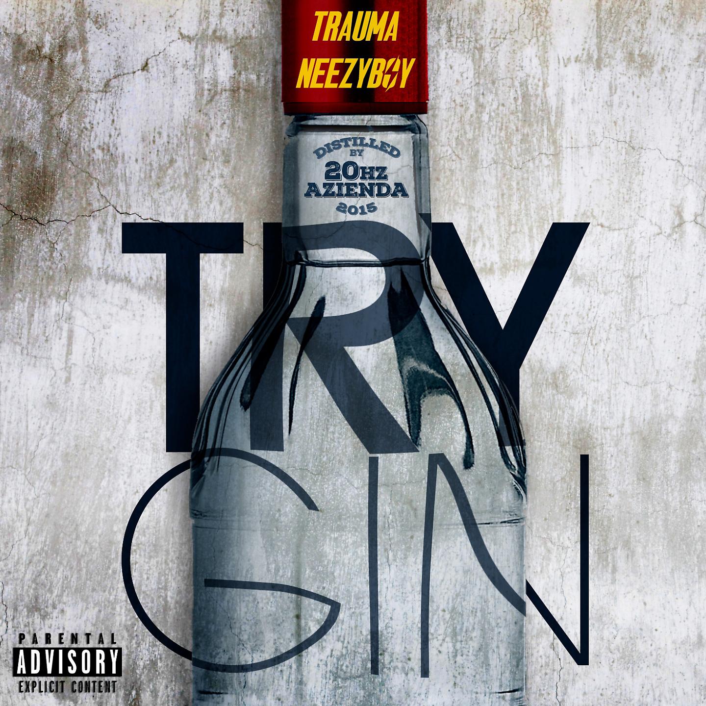 Постер альбома Try gin