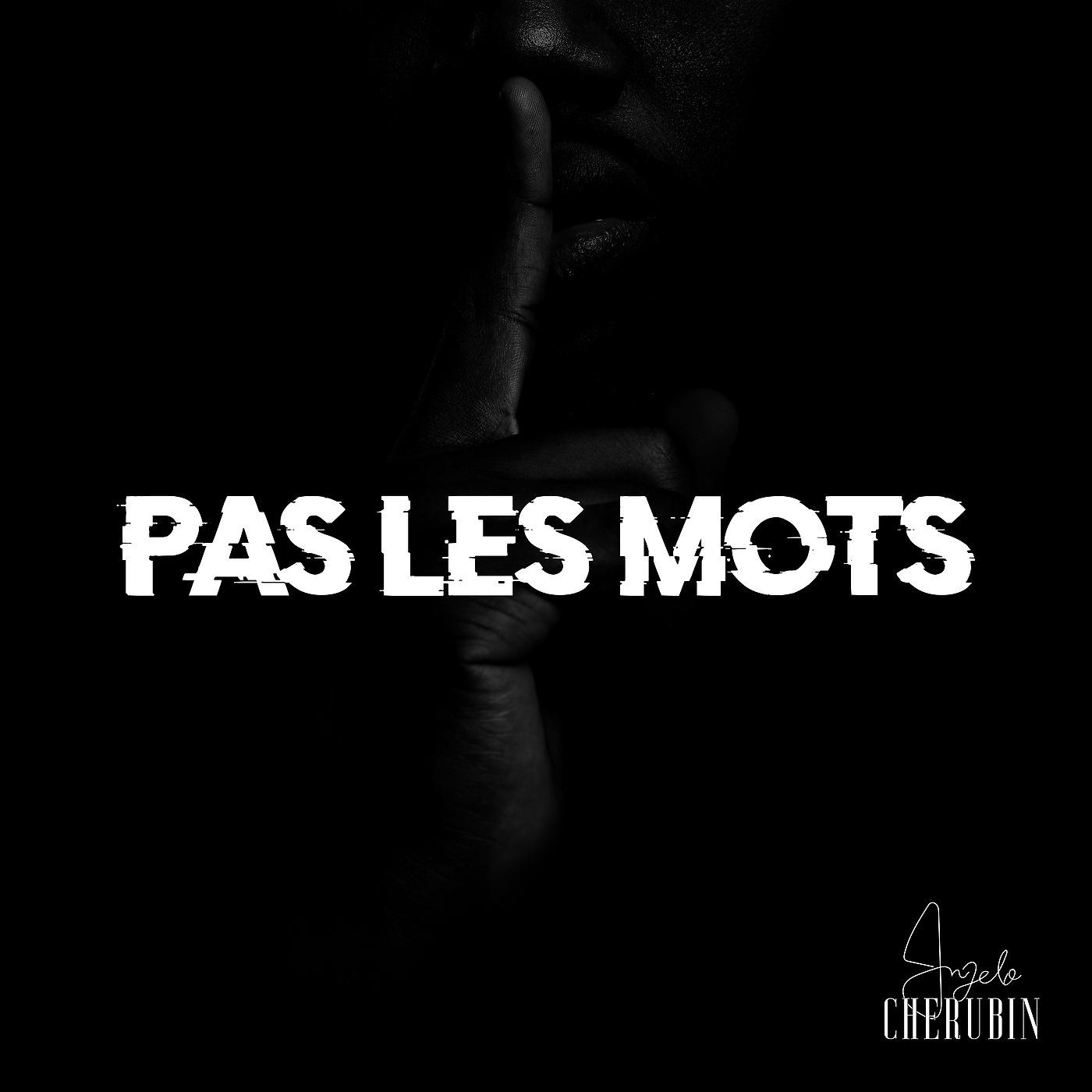 Постер альбома Pas Les Mots