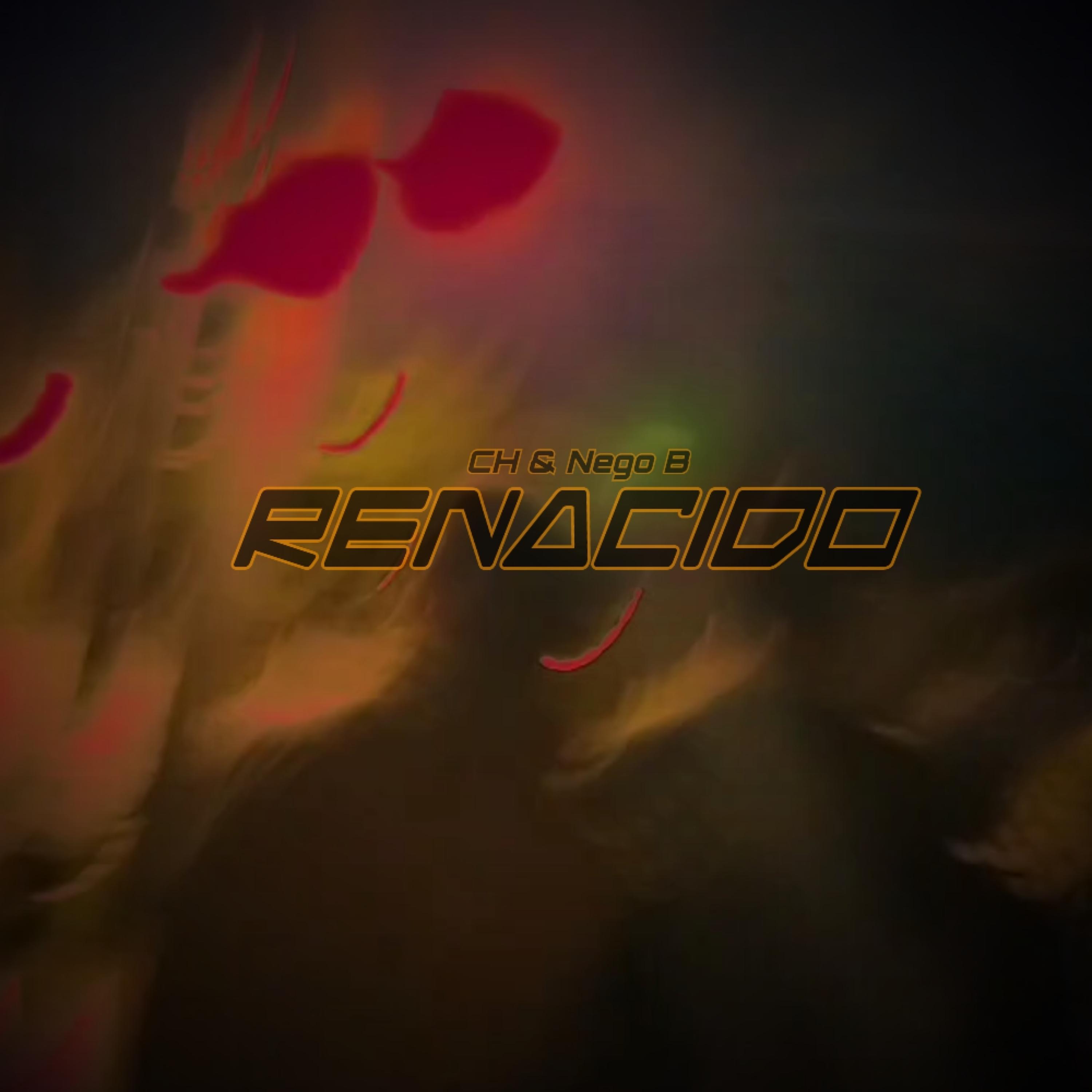 Постер альбома Renacido