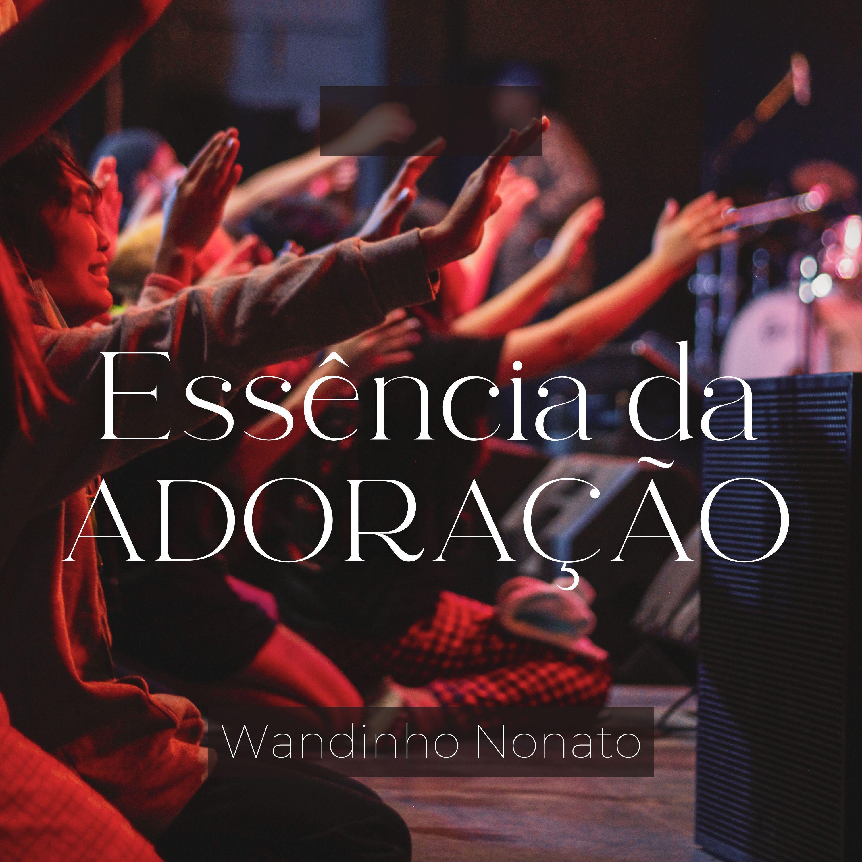 Постер альбома Essência da Adoração (Piano)