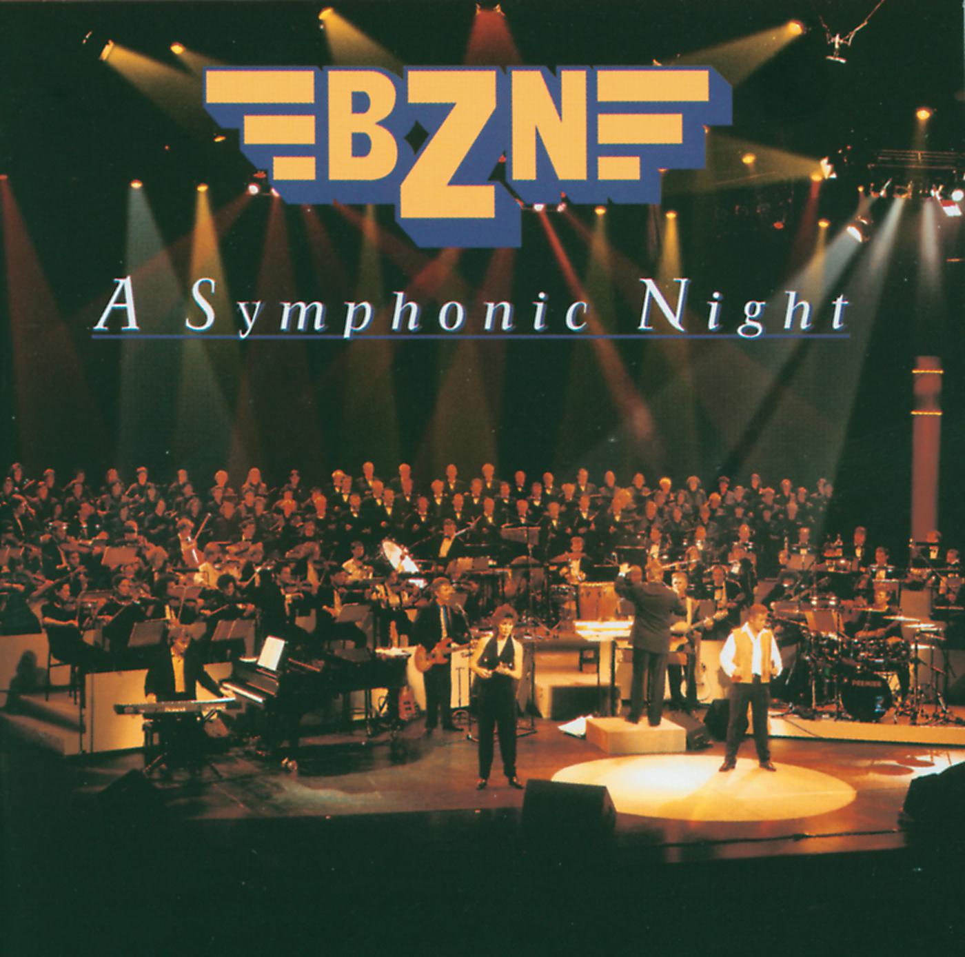 Постер альбома A Symphonic Night