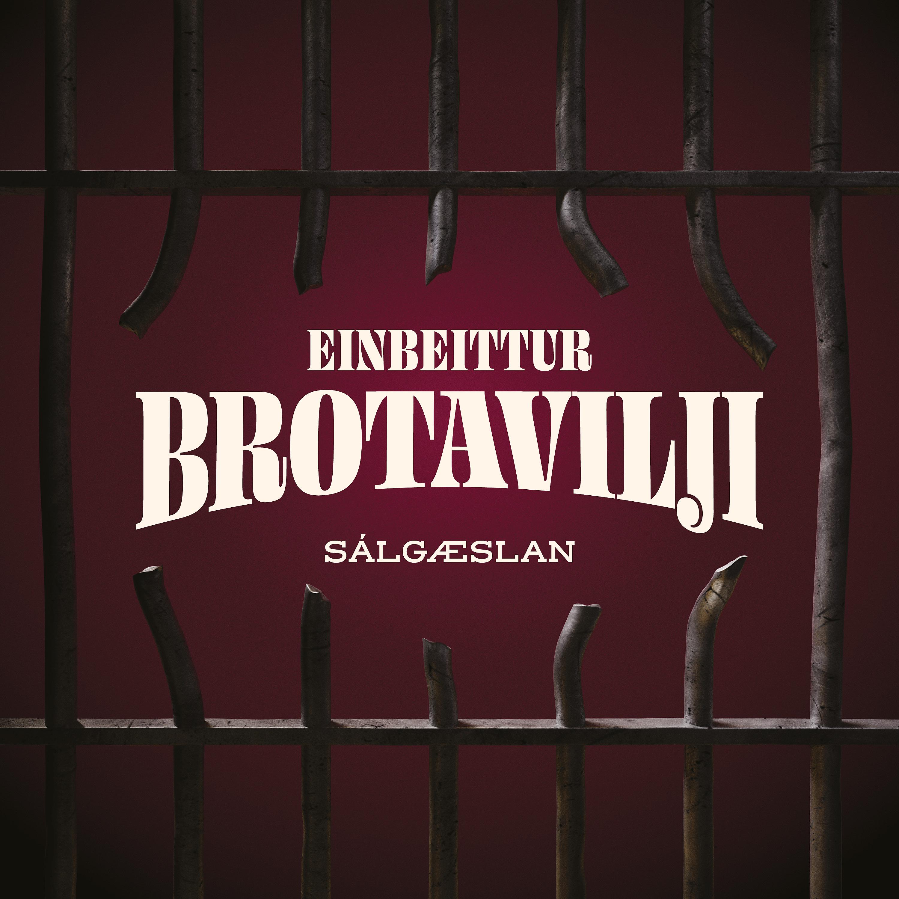Постер альбома EINBEITTUR BROTAVILJI