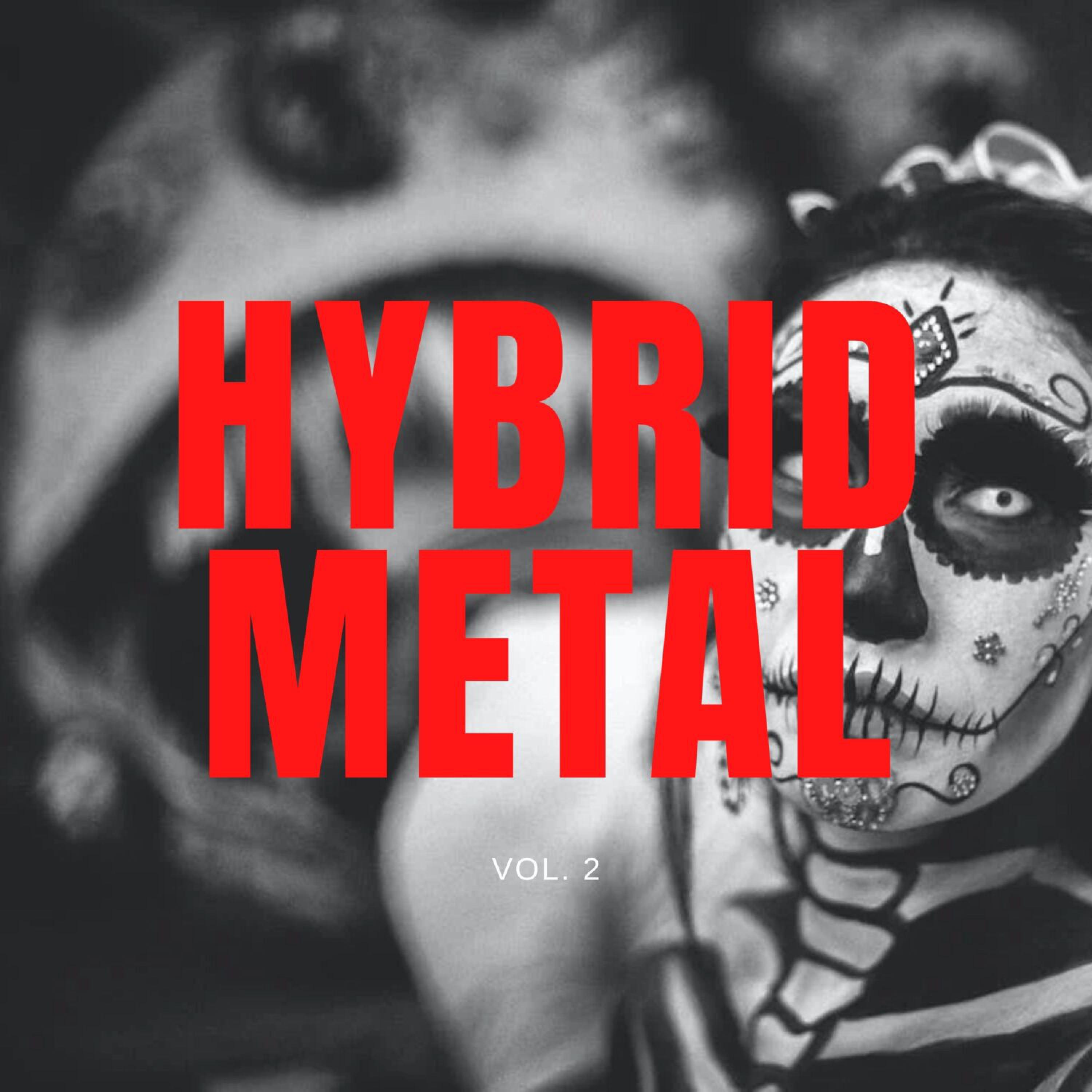 Постер альбома Hybrid Metal, Vol. 02