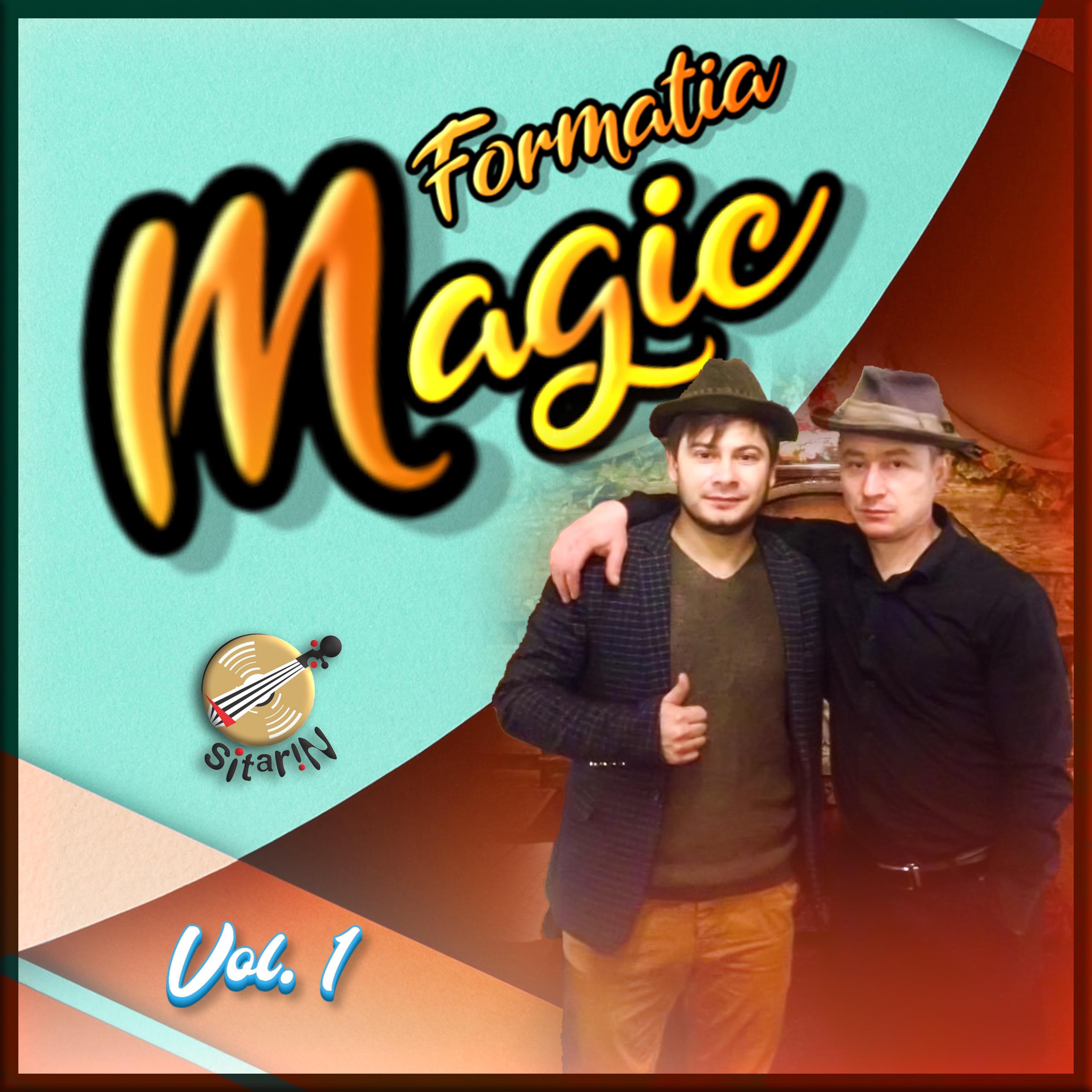 Постер альбома Mega petrcere cu Formatia Magic, Vol. 1