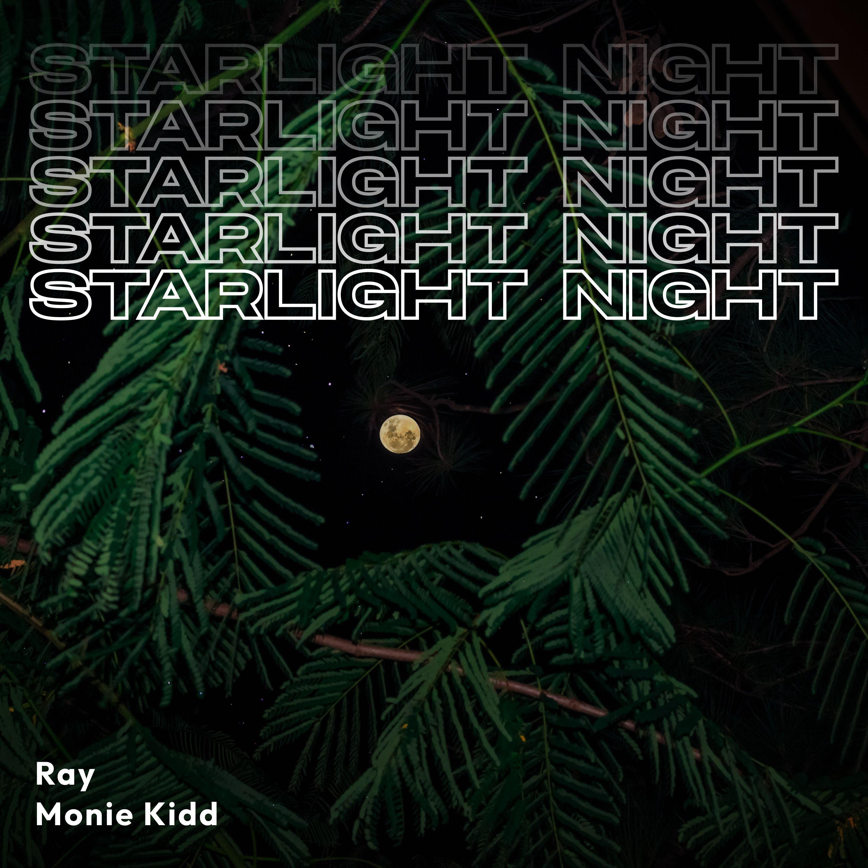 Постер альбома Starlight Night